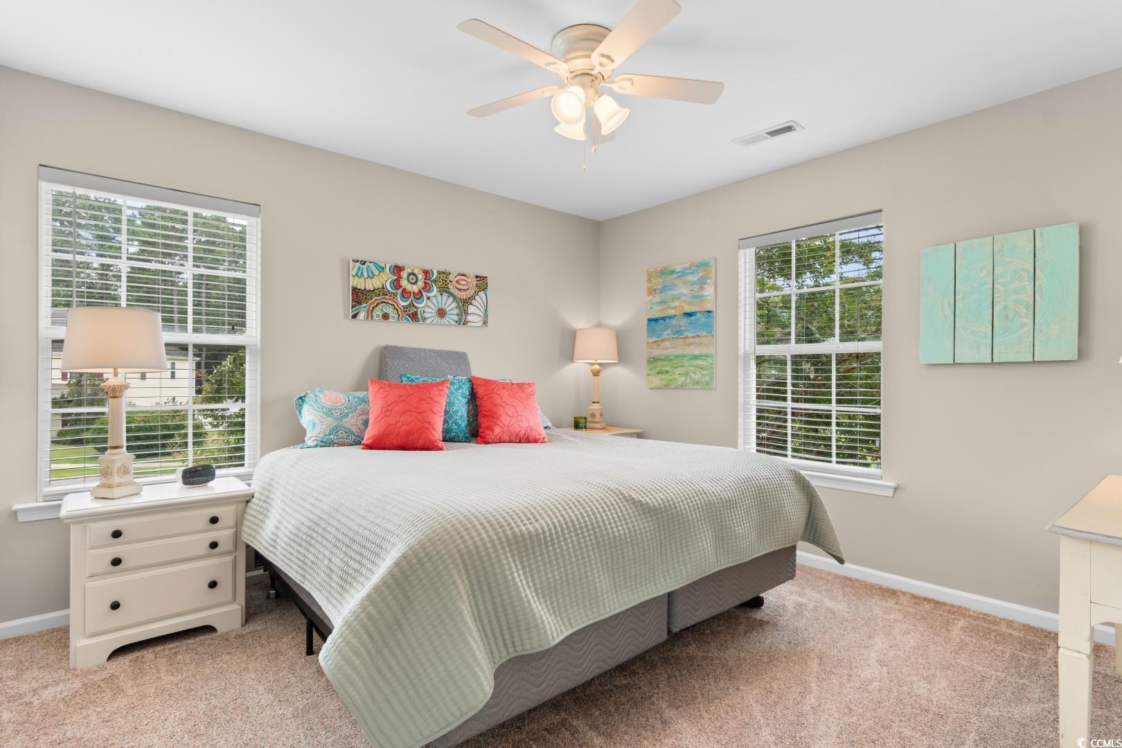 569 Ramblewood Circle, Little River, South Carolina image 29