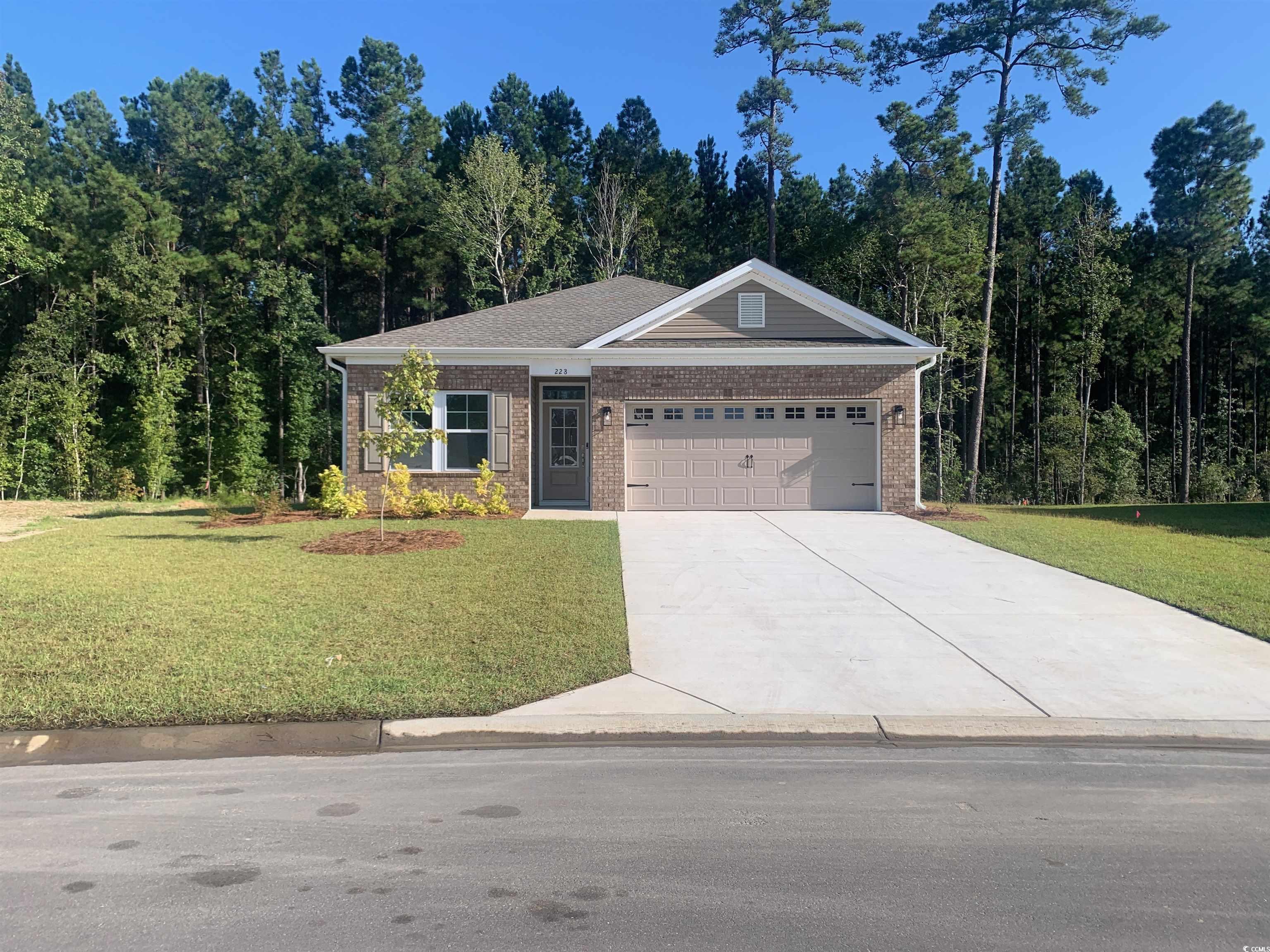228 Palmetto Sand Loop Conway, SC 29527