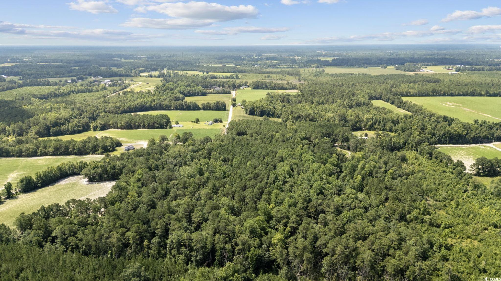 TBD Plainfield Rd., Galivants Ferry, South Carolina image 11