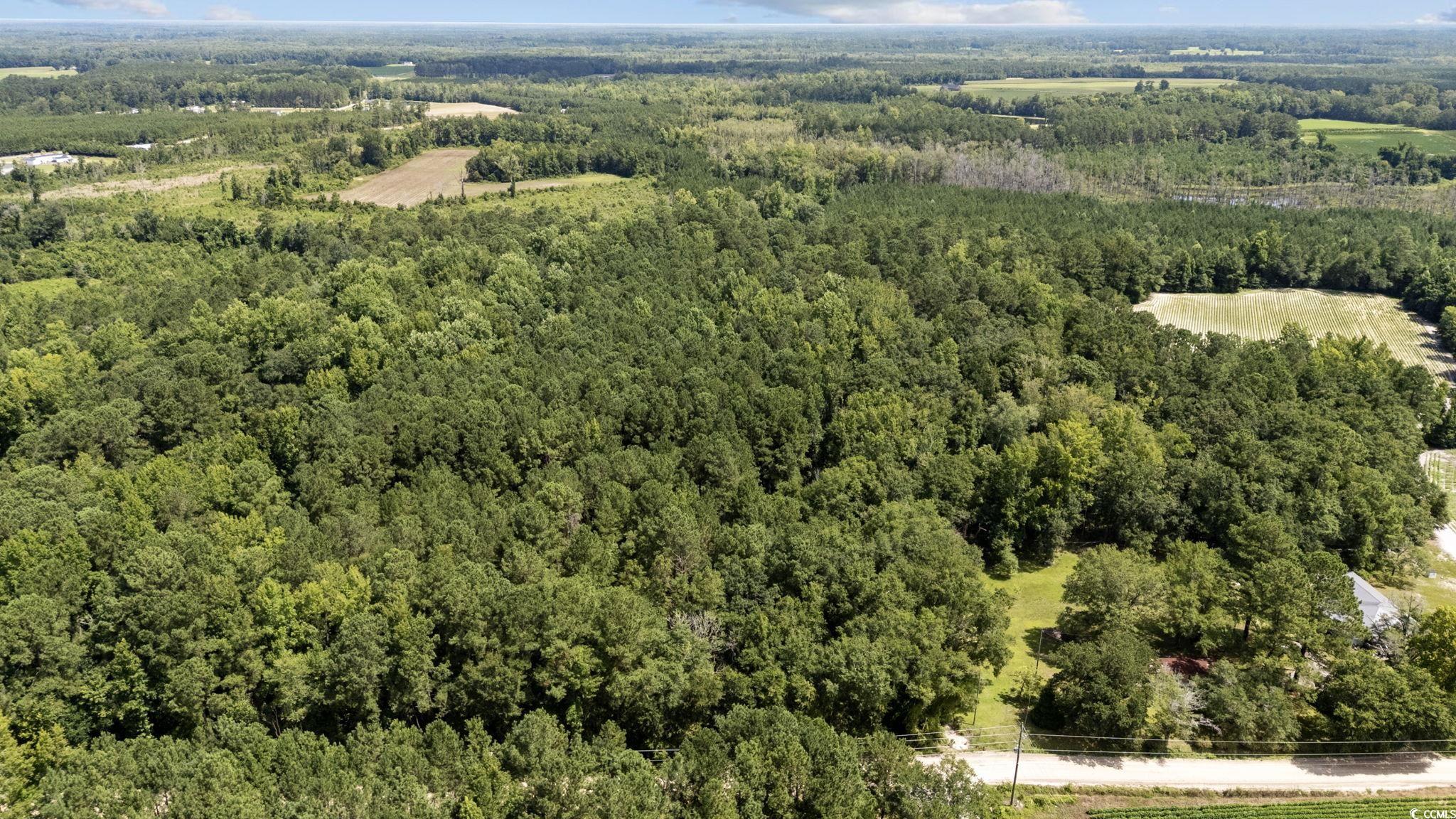 TBD Plainfield Rd., Galivants Ferry, South Carolina image 12