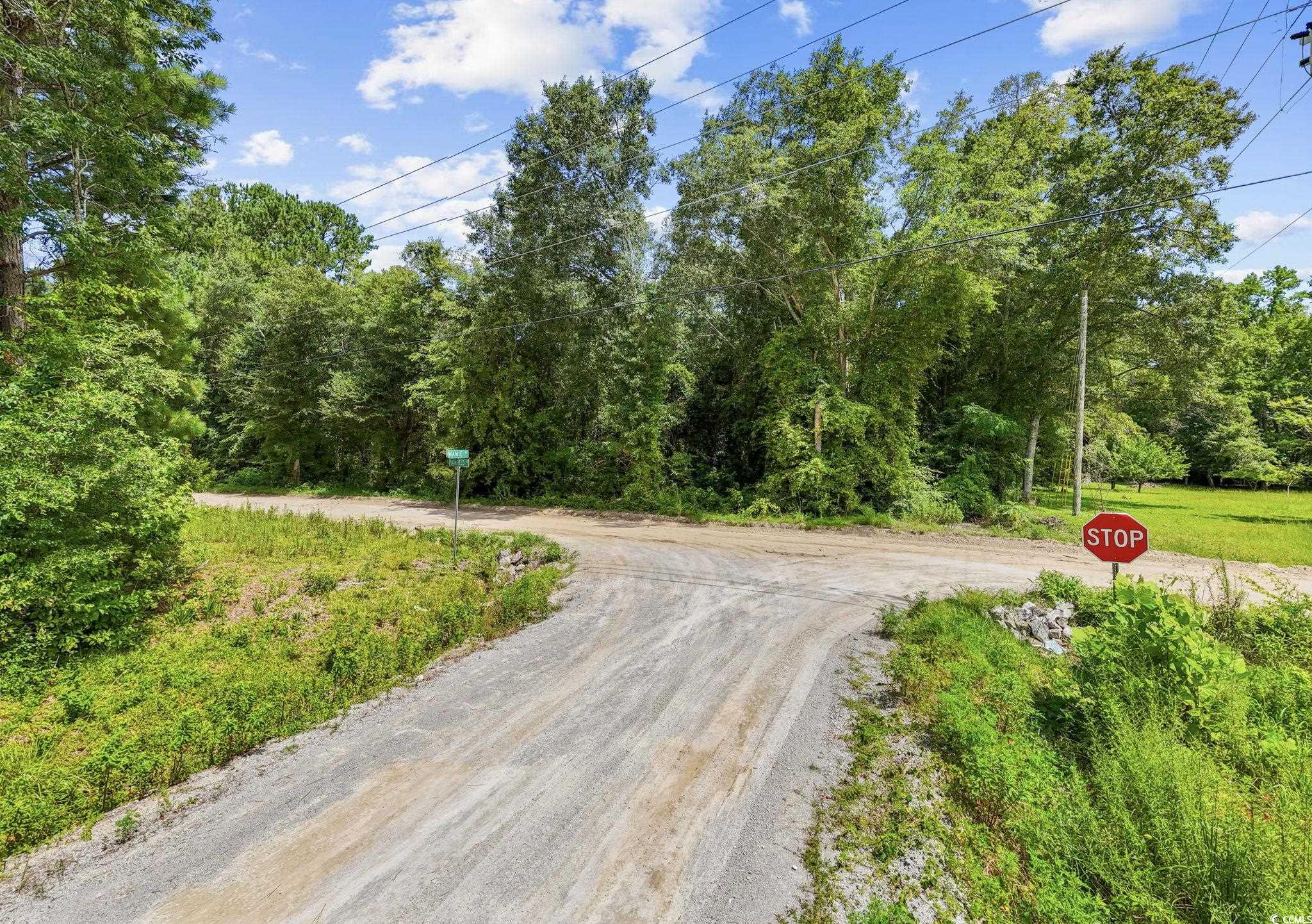 TBD Plainfield Rd., Galivants Ferry, South Carolina image 14