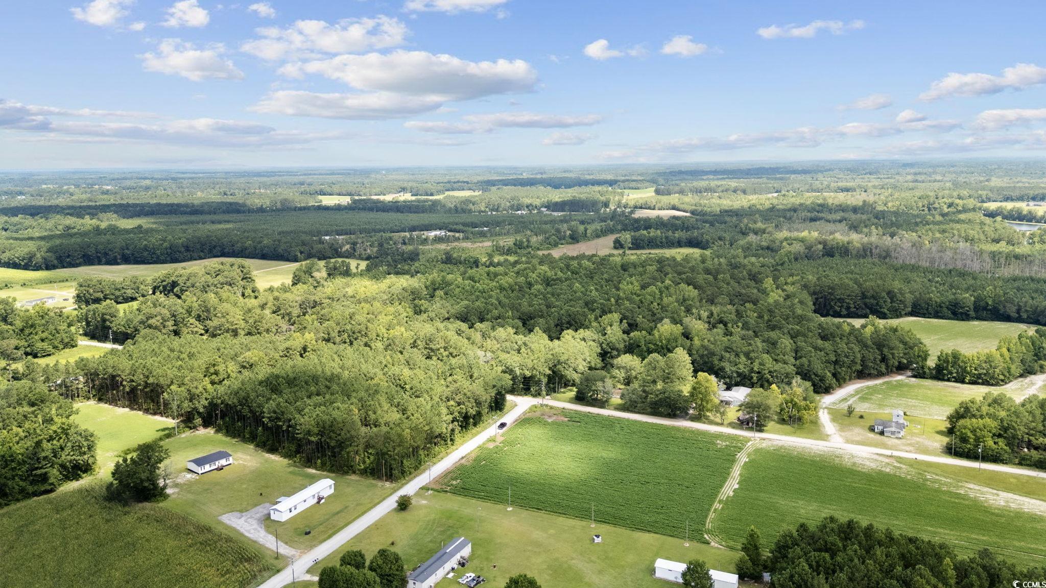 TBD Plainfield Rd., Galivants Ferry, South Carolina image 3