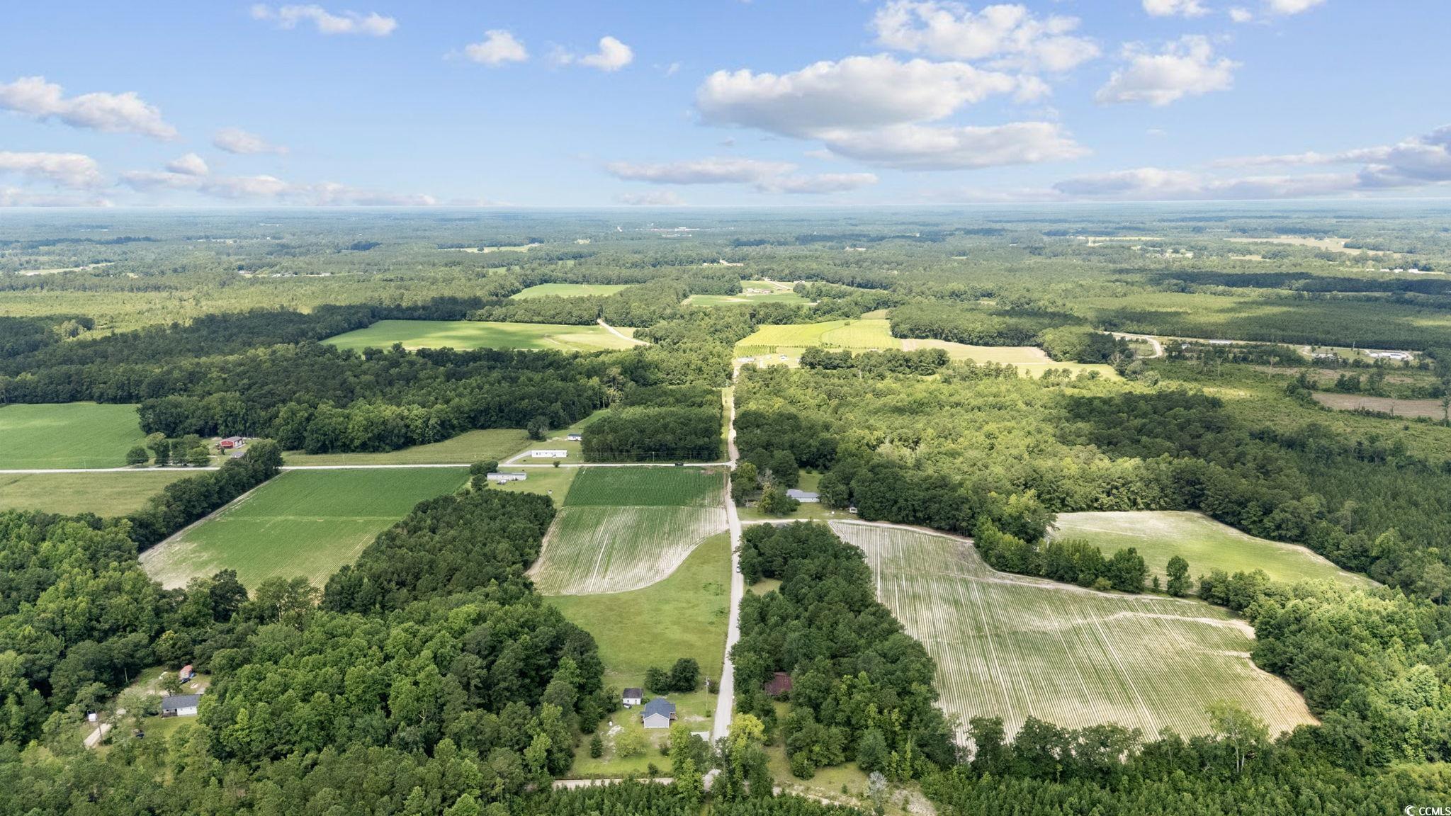 TBD Plainfield Rd., Galivants Ferry, South Carolina image 4