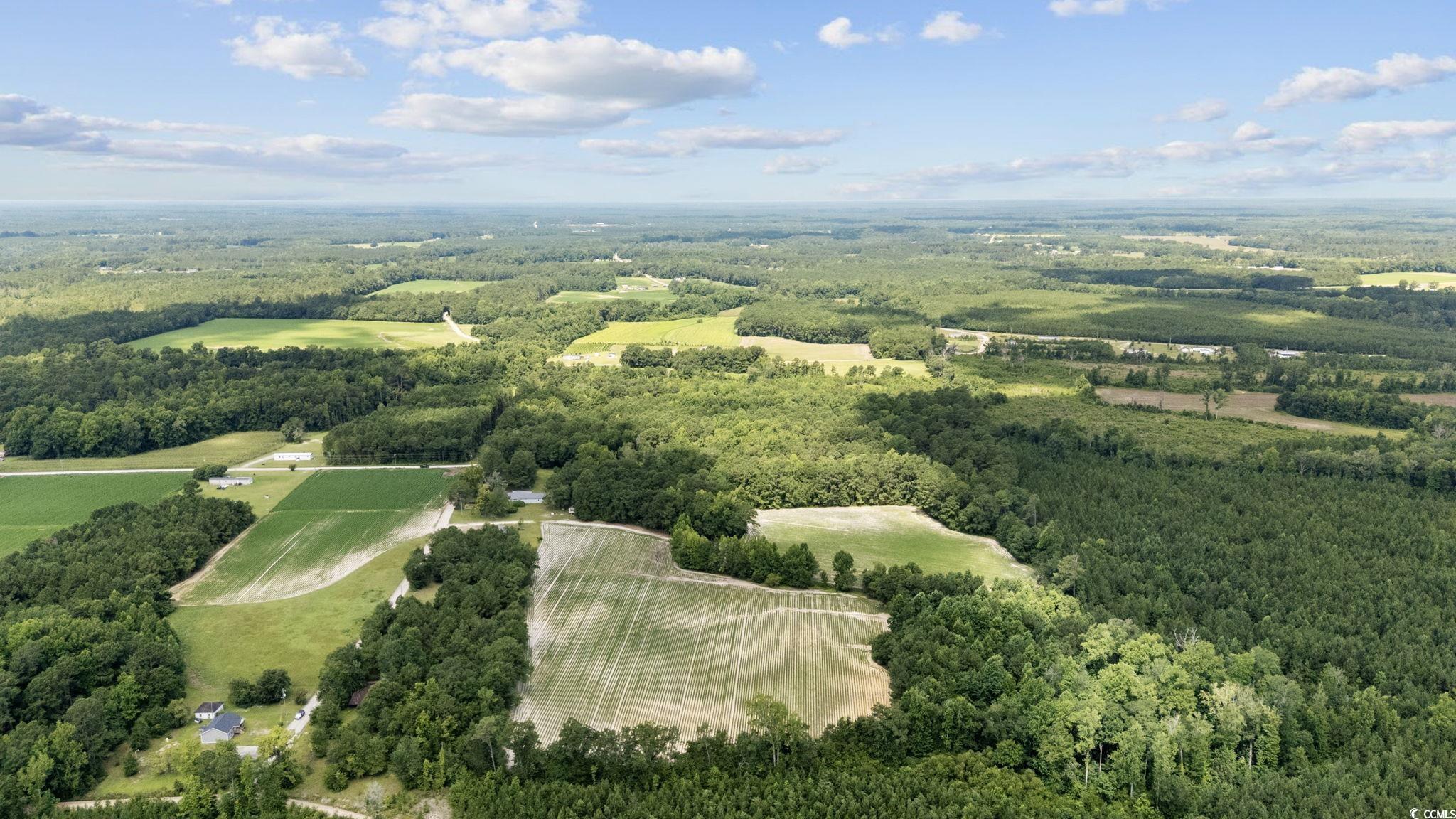 TBD Plainfield Rd., Galivants Ferry, South Carolina image 5