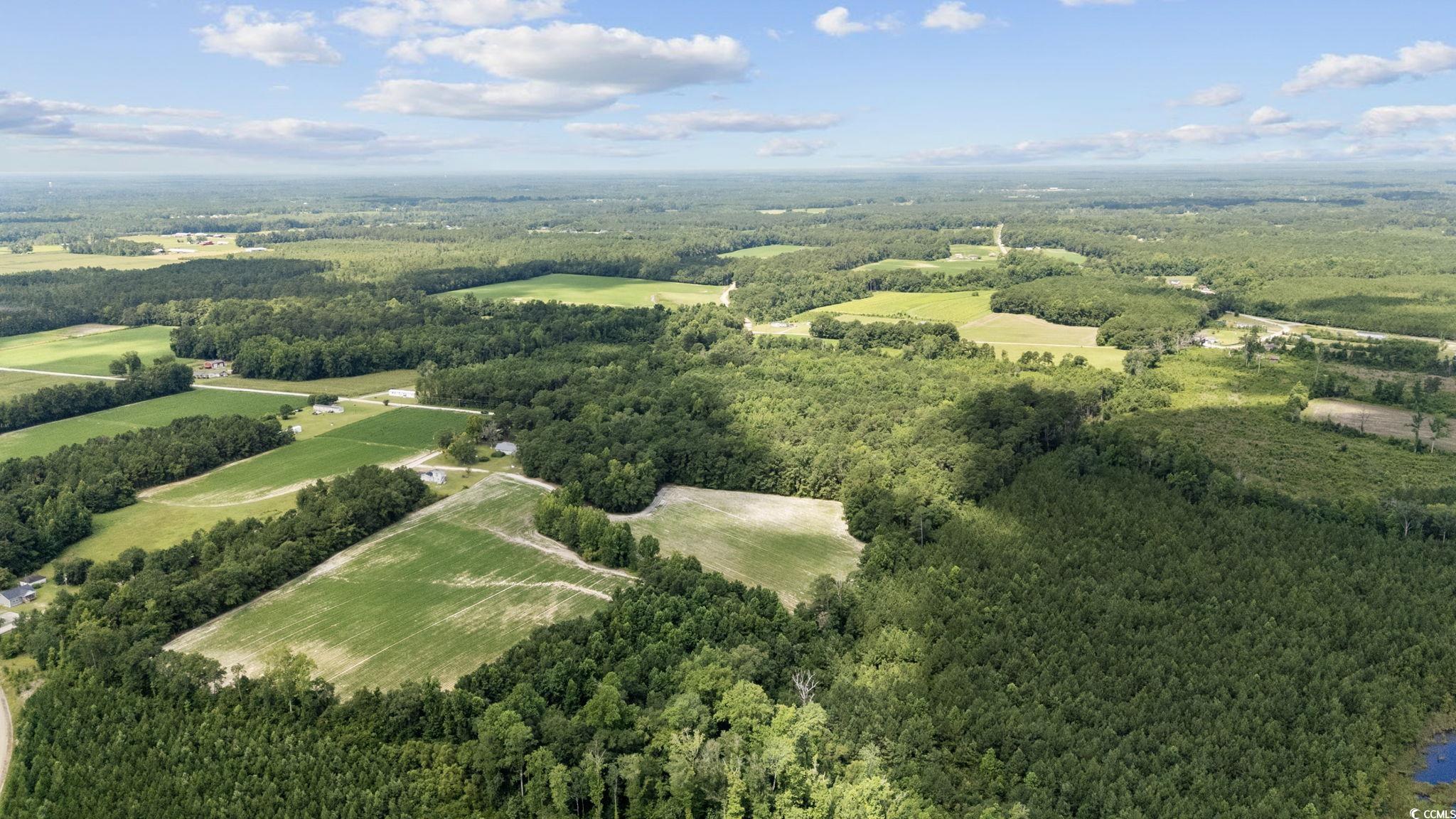 TBD Plainfield Rd., Galivants Ferry, South Carolina image 6