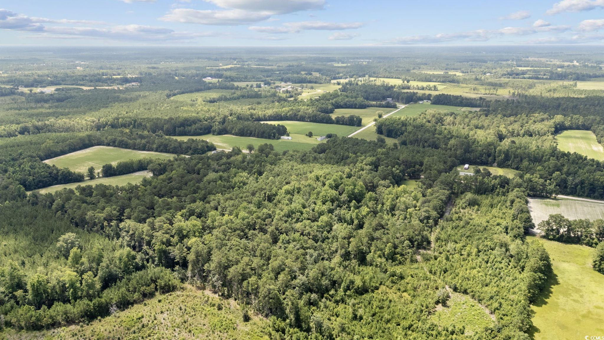 TBD Plainfield Rd., Galivants Ferry, South Carolina image 8