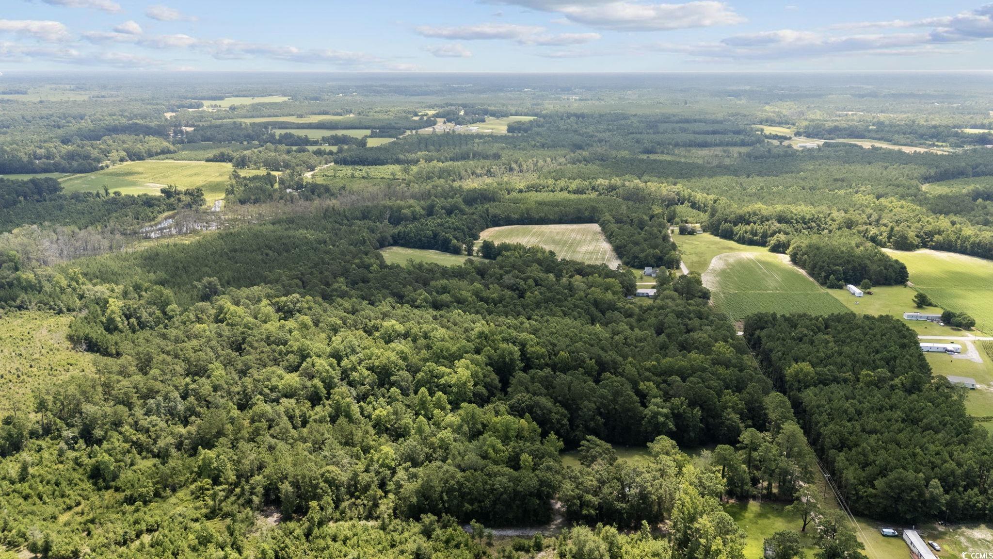 TBD Plainfield Rd., Galivants Ferry, South Carolina image 9