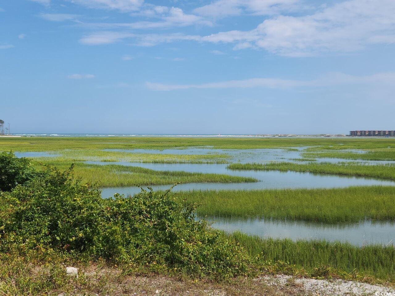 Jacks Circle Rd., North Myrtle Beach, South Carolina image 6