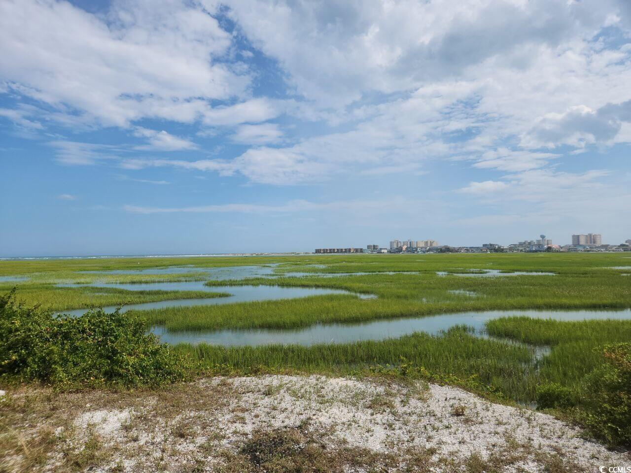 Jacks Circle Rd., North Myrtle Beach, South Carolina image 7