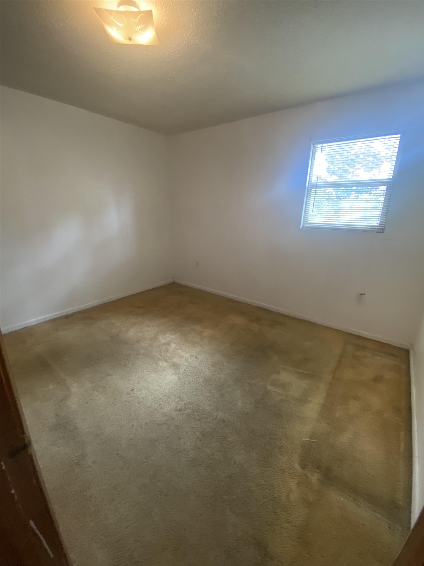 207 SE Thompkins Avenue, Madison, Florida image 10