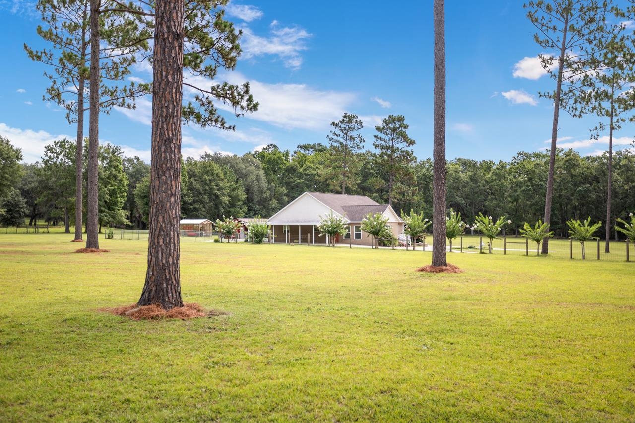 282 Long Leaf Drive, Monticello, Florida image 3