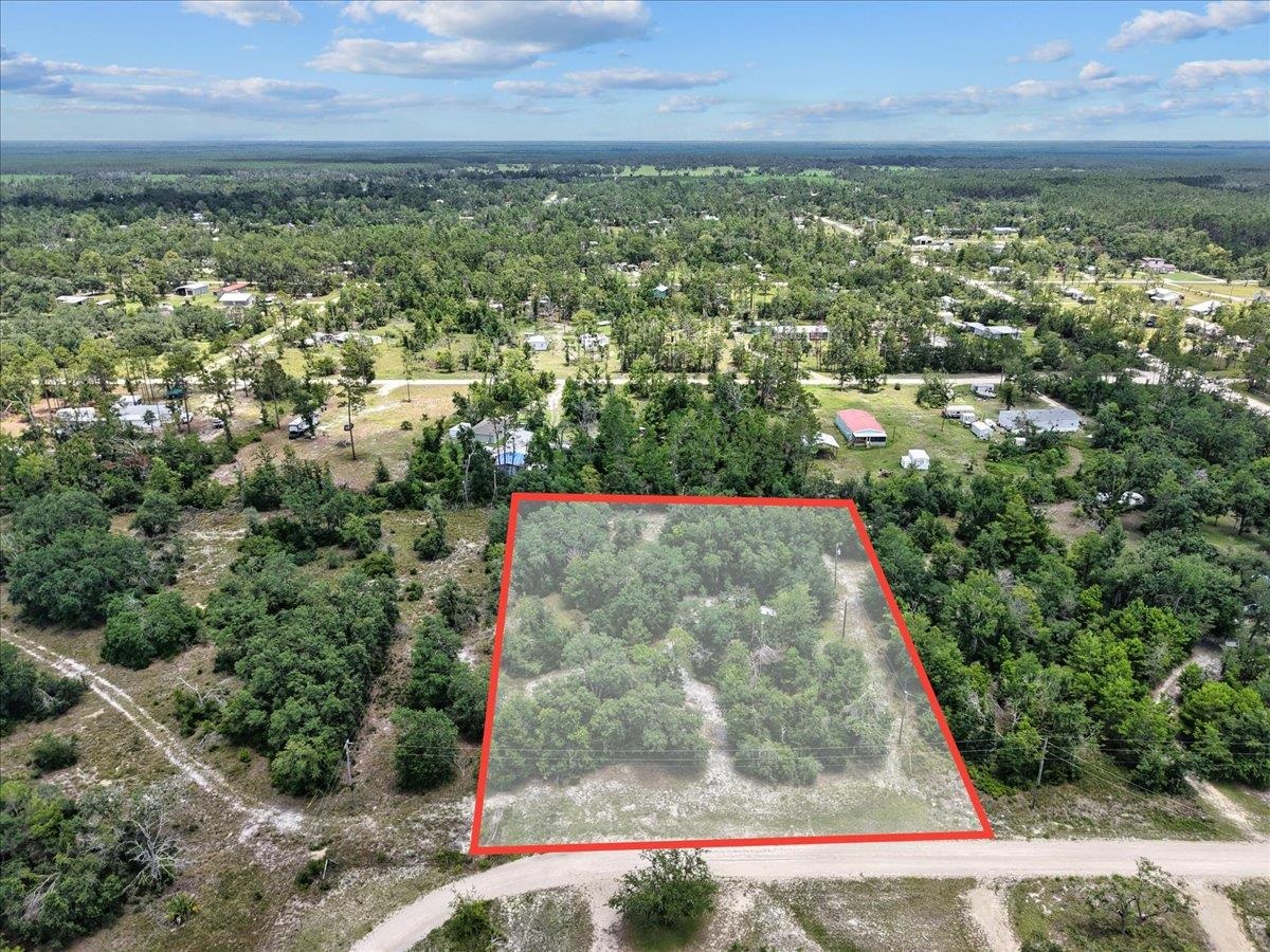 15760 Star Fish Drive, Perry, Florida image 3