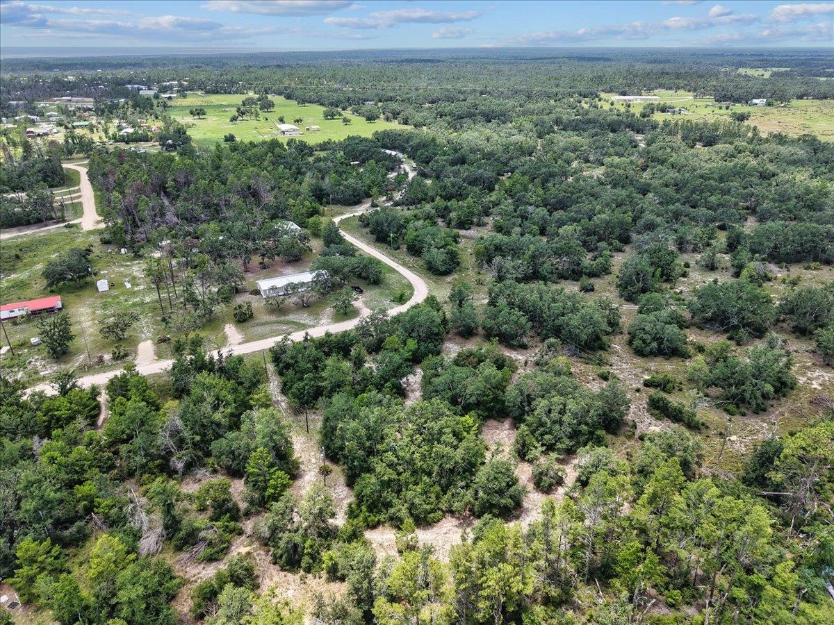 15760 Star Fish Drive, Perry, Florida image 4