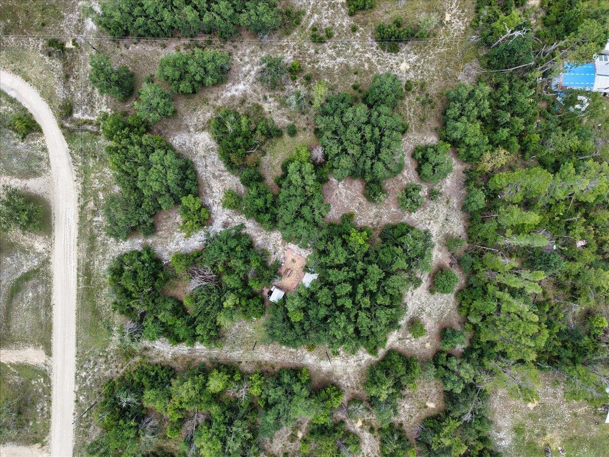 15760 Star Fish Drive, Perry, Florida image 5