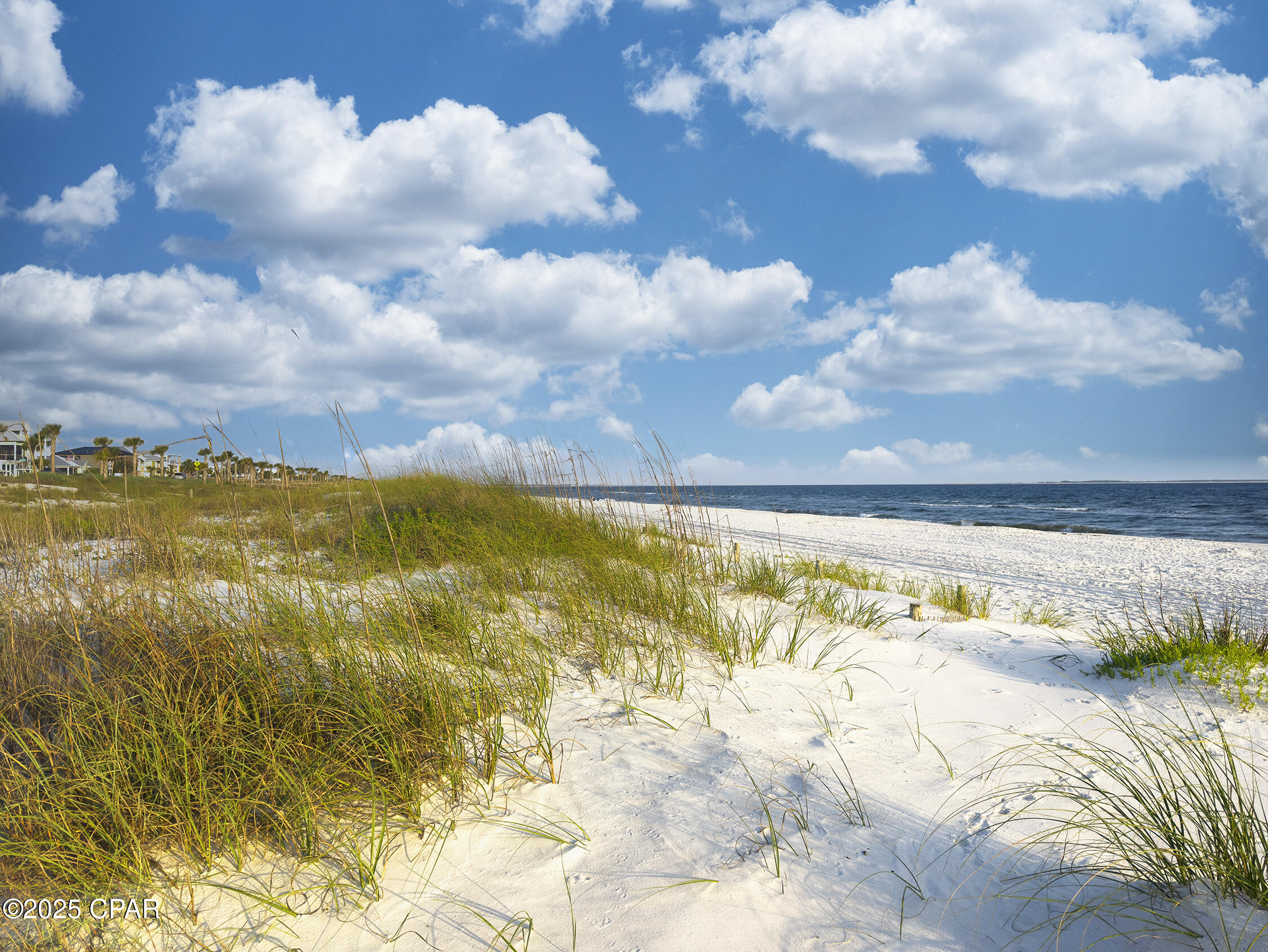 309 Hatley Drive, Mexico Beach, Florida image 39