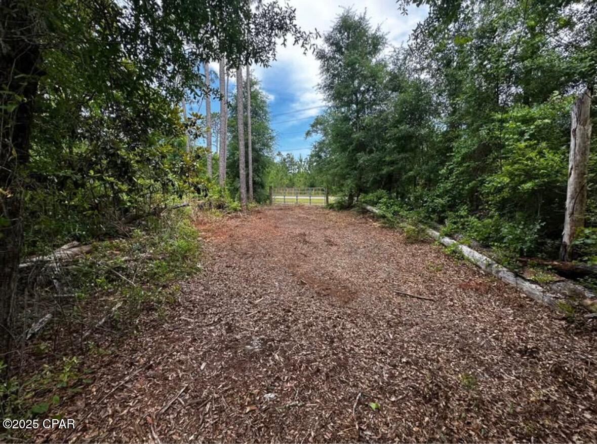 Owenwood Road, Fountain, Florida image 1