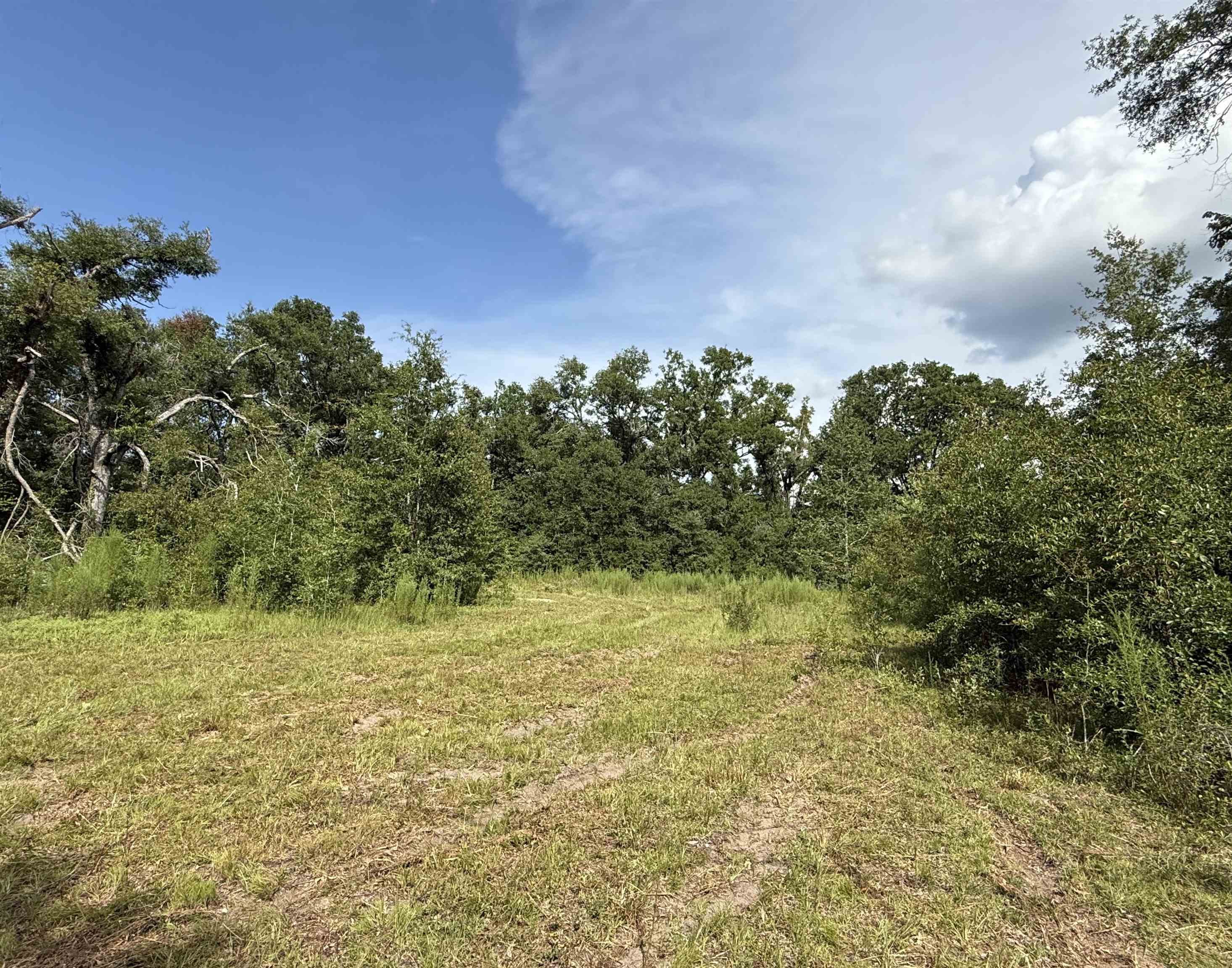 000 68th Street, Live Oak, Florida image 3