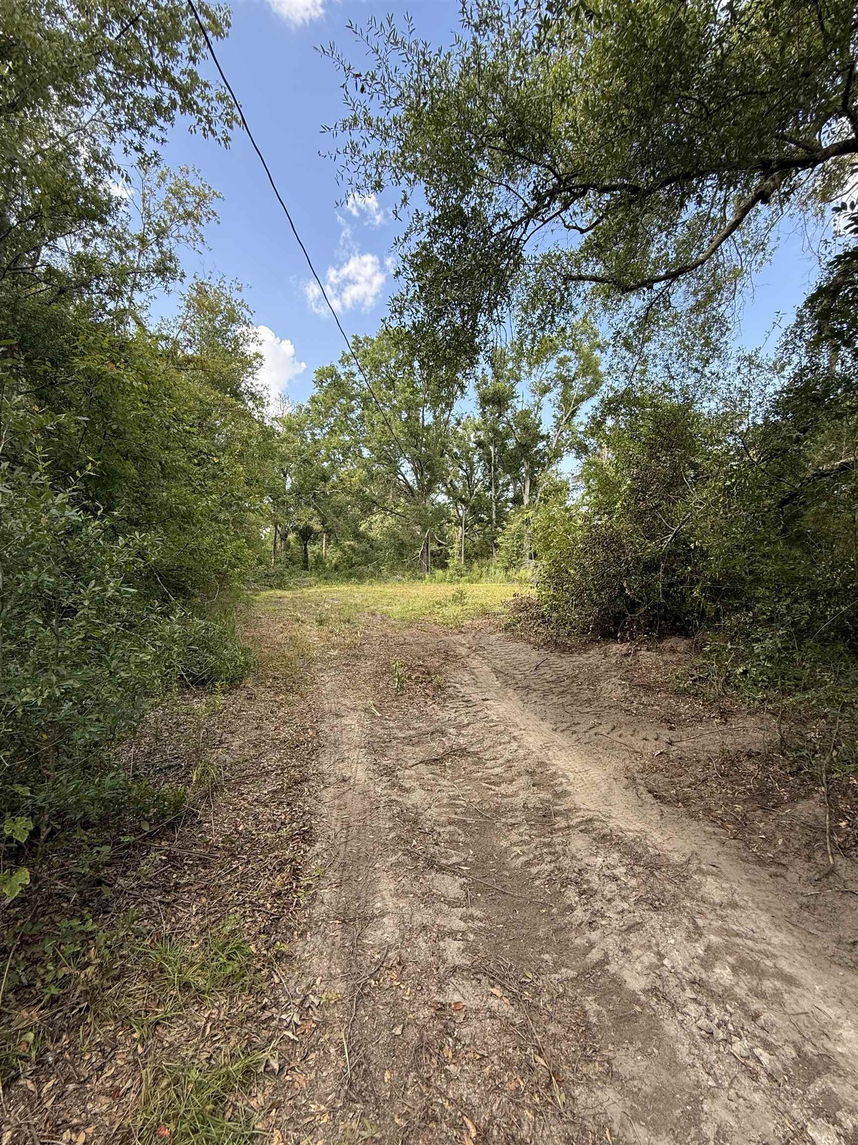 000 68th Street, Live Oak, Florida image 4