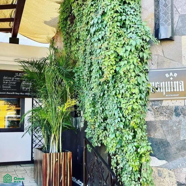 Avenida del Pescador Bahia 130, Centro, Los Cabos, Baja California Sur,