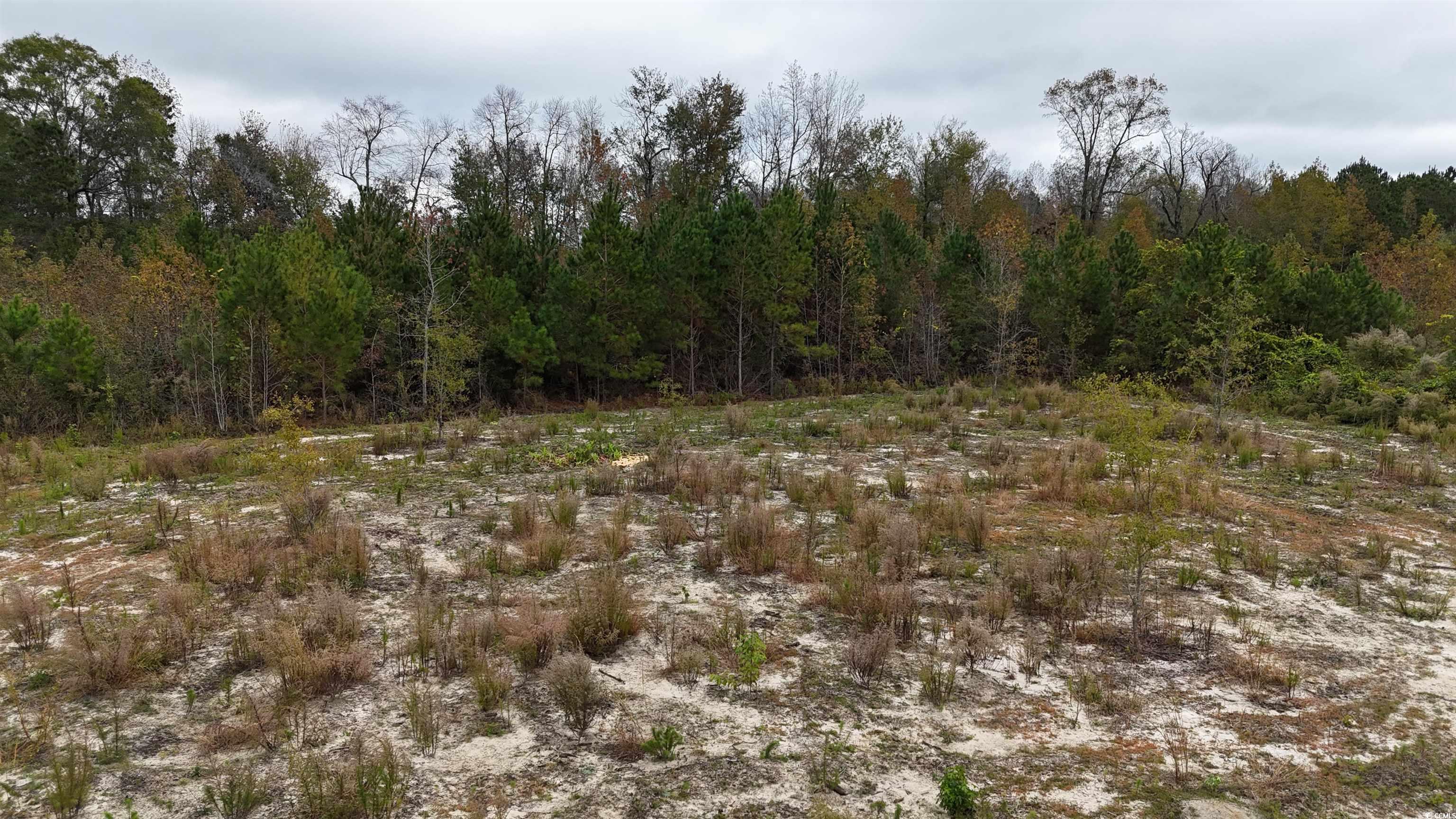 Tbd Sarvis Dr., Loris, South Carolina image 4