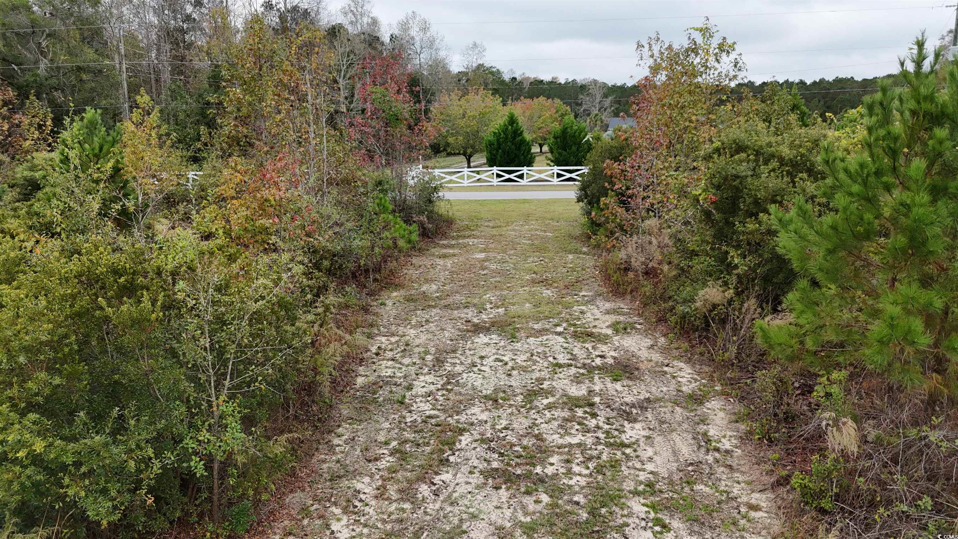 Tbd Sarvis Dr., Loris, South Carolina image 5