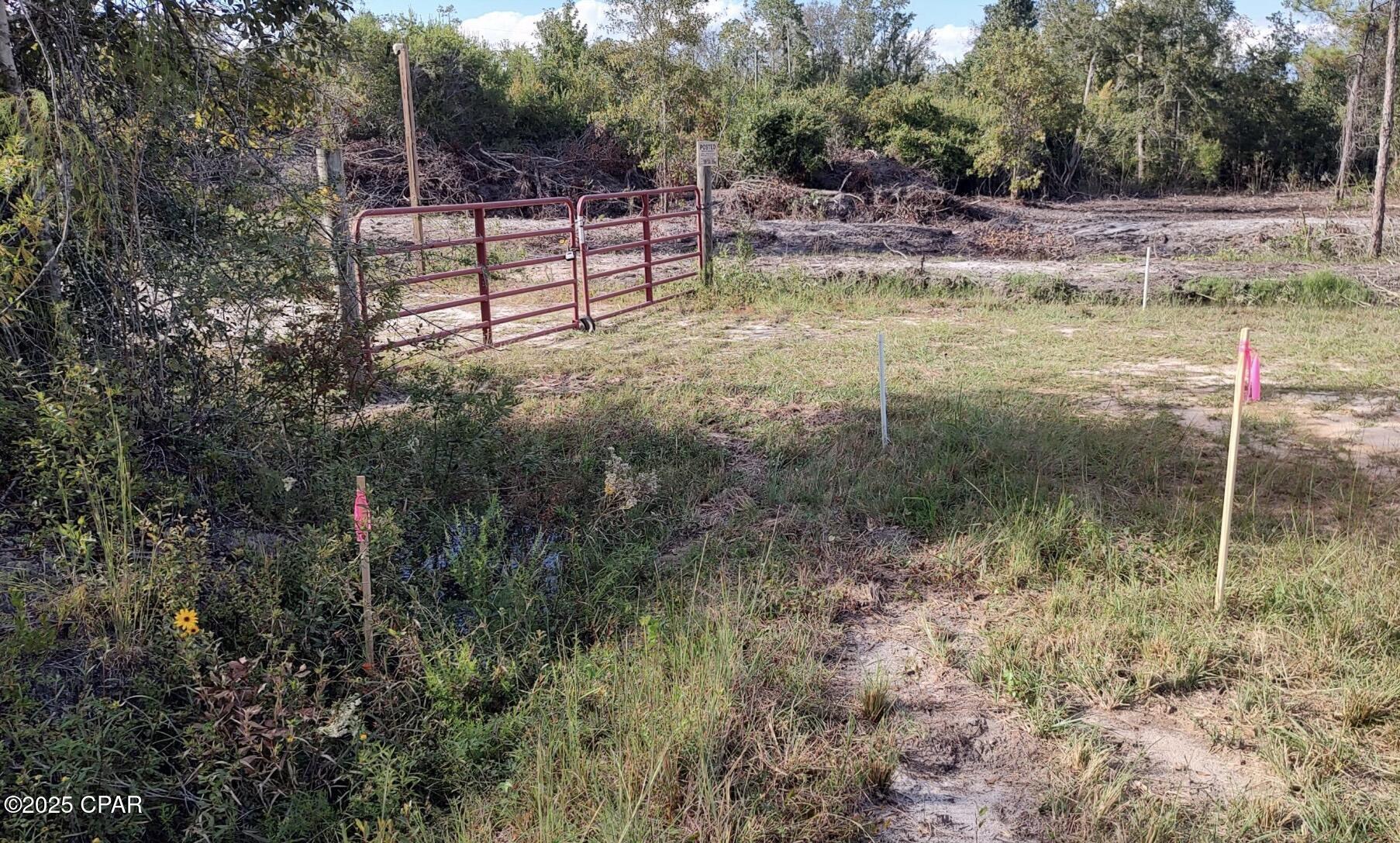 Image 4 For 00 Olivia Street