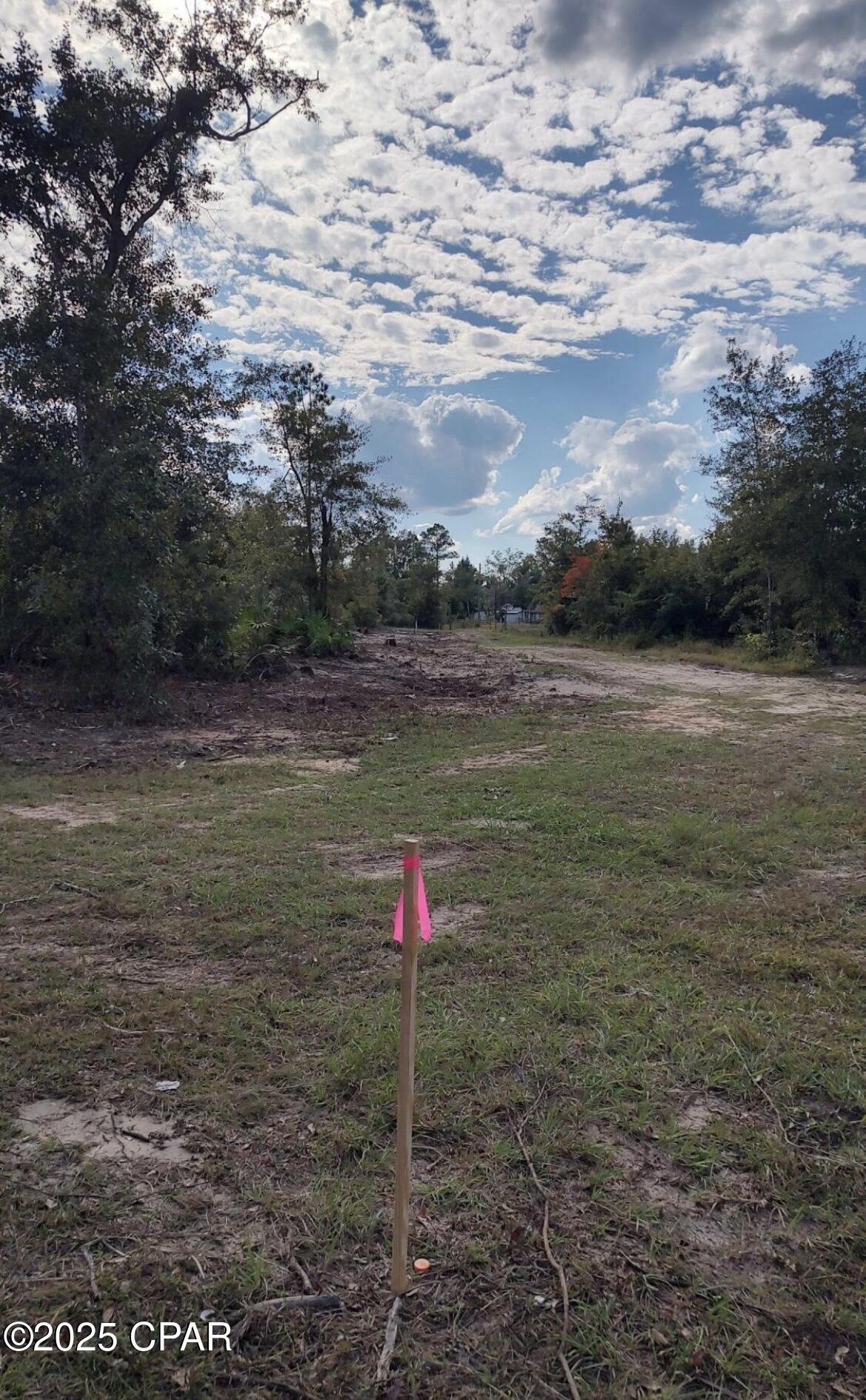 Image 6 For 00 Olivia Street