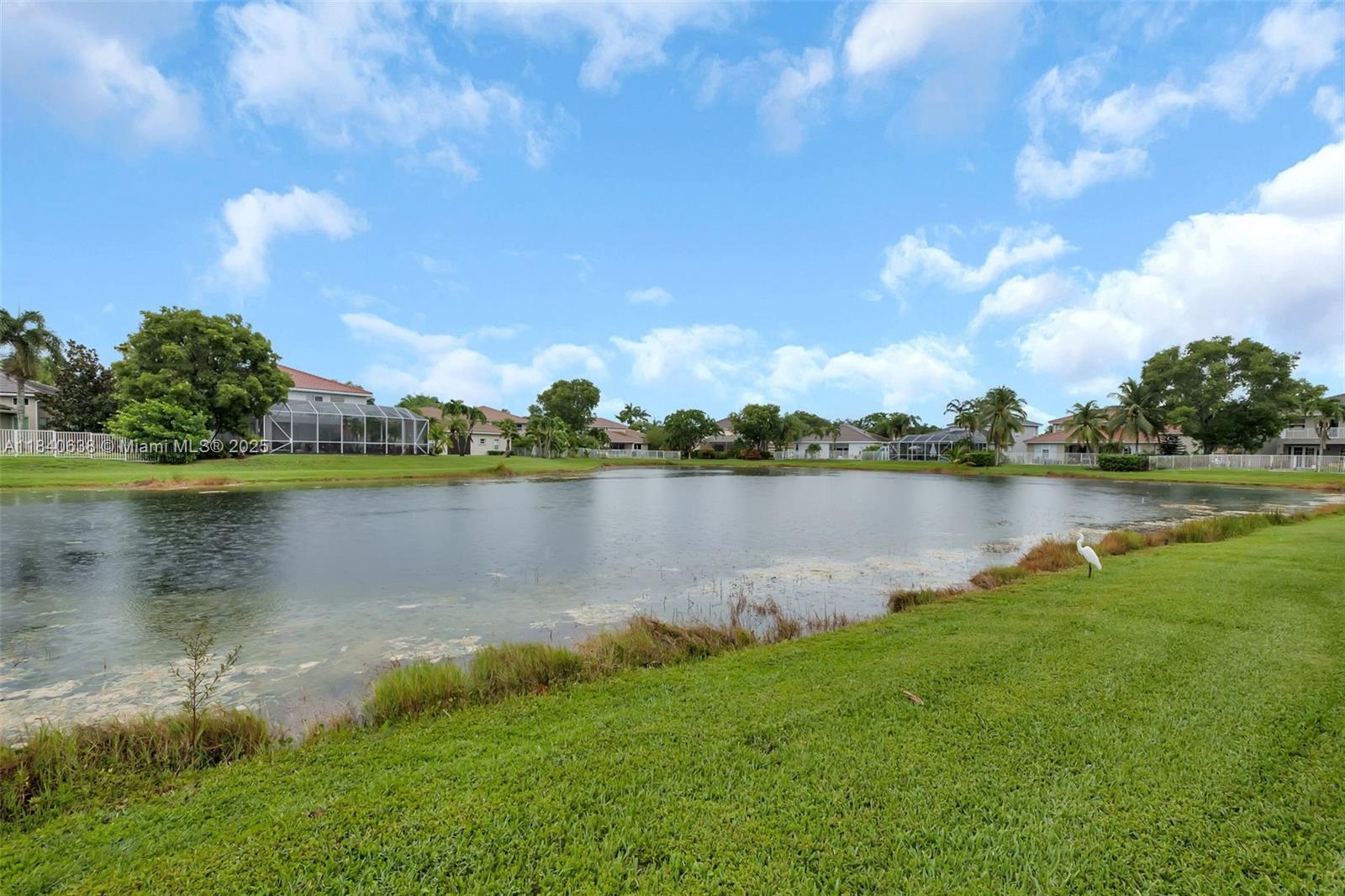 4288 Diamond Ter, Weston, Florida image 6