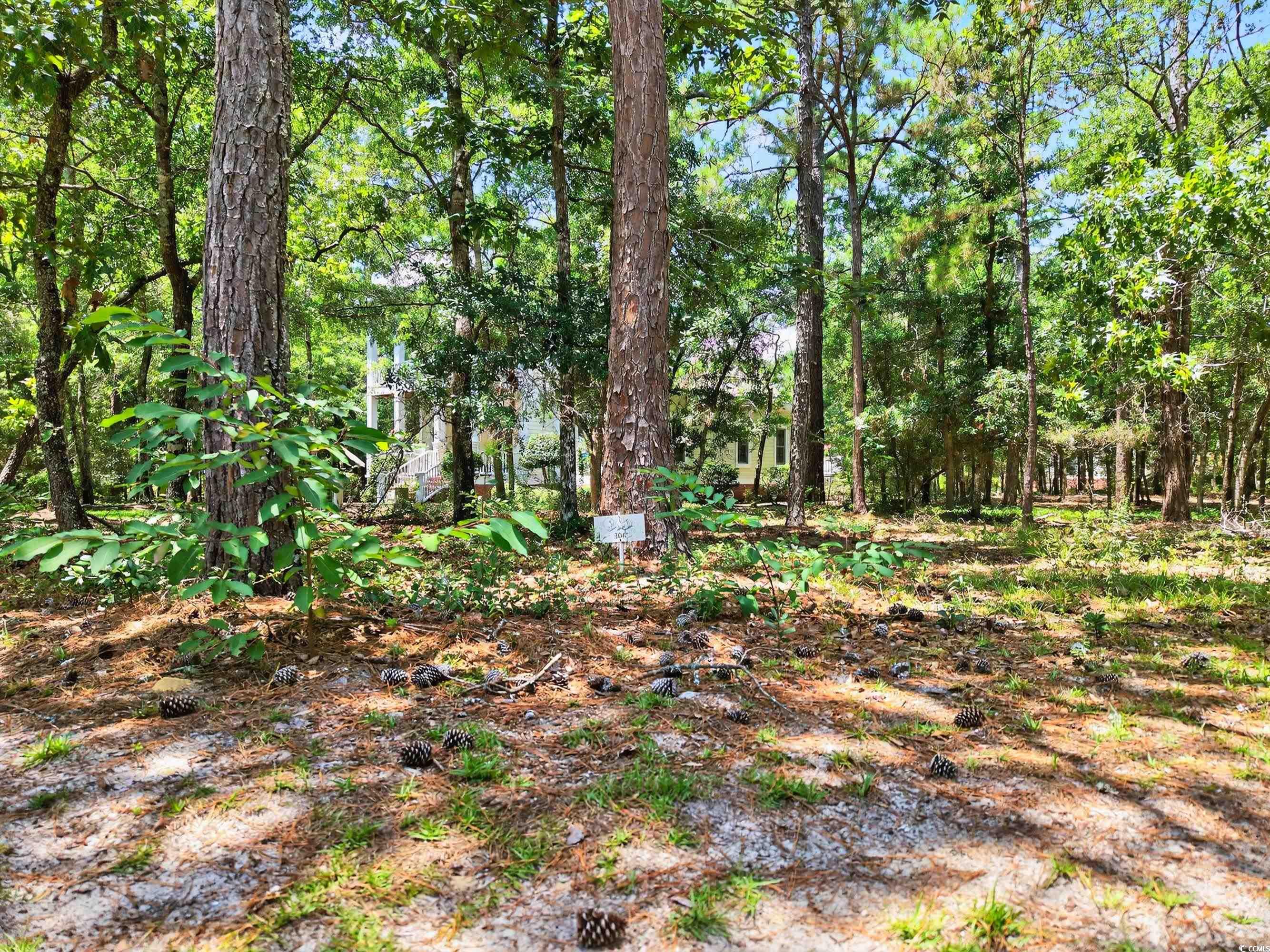 664 N Seascape Blvd. Sw, Supply, North Carolina image 9