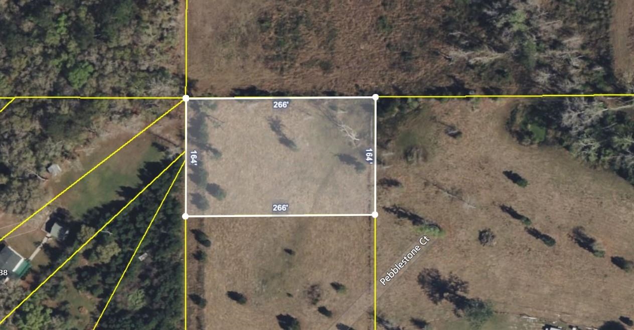 0030 Driftwood Lane, Tallahassee, Texas image 3