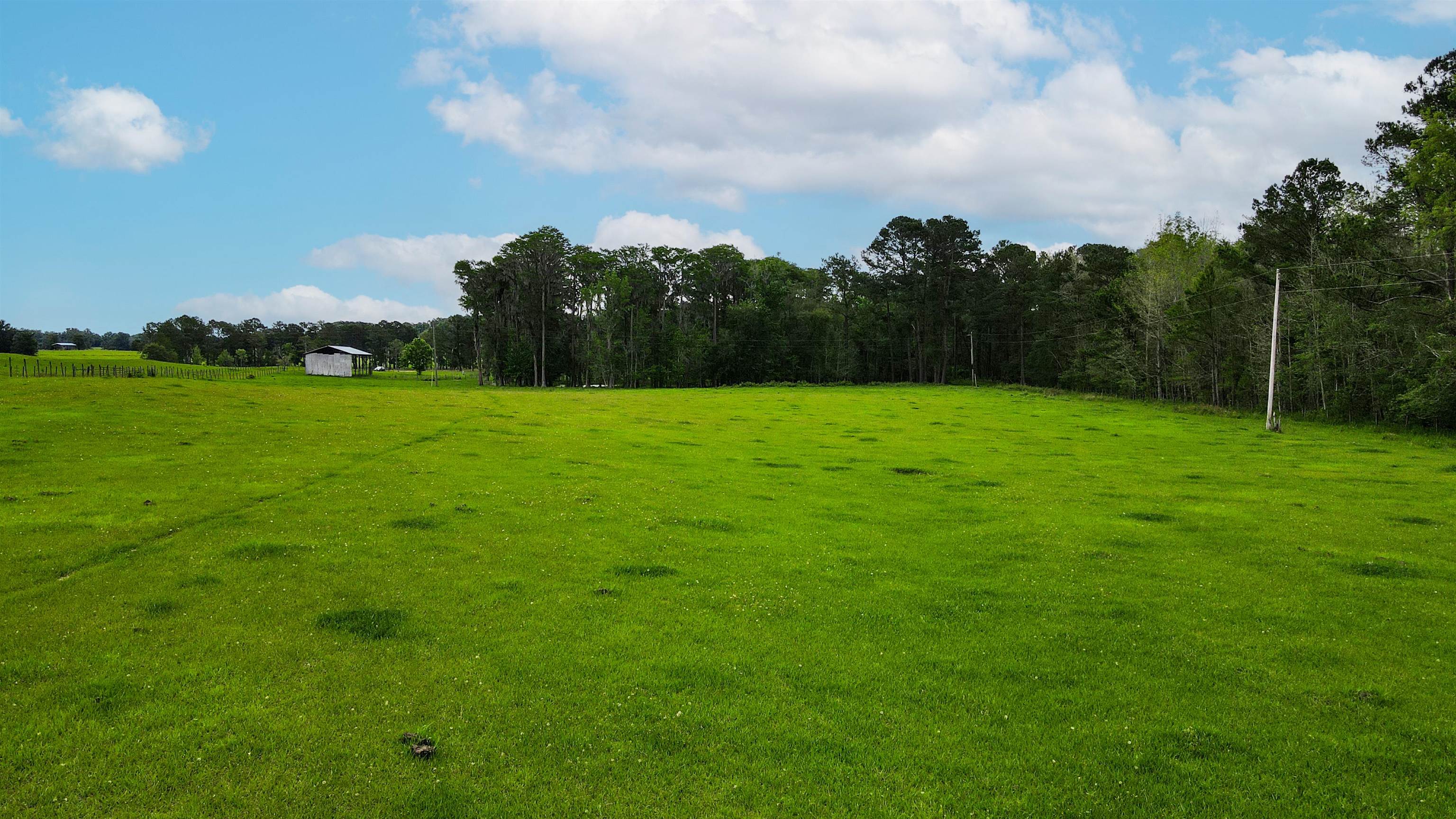 TBD NW Hawks Ave Avenue, Greenville, Florida image 1