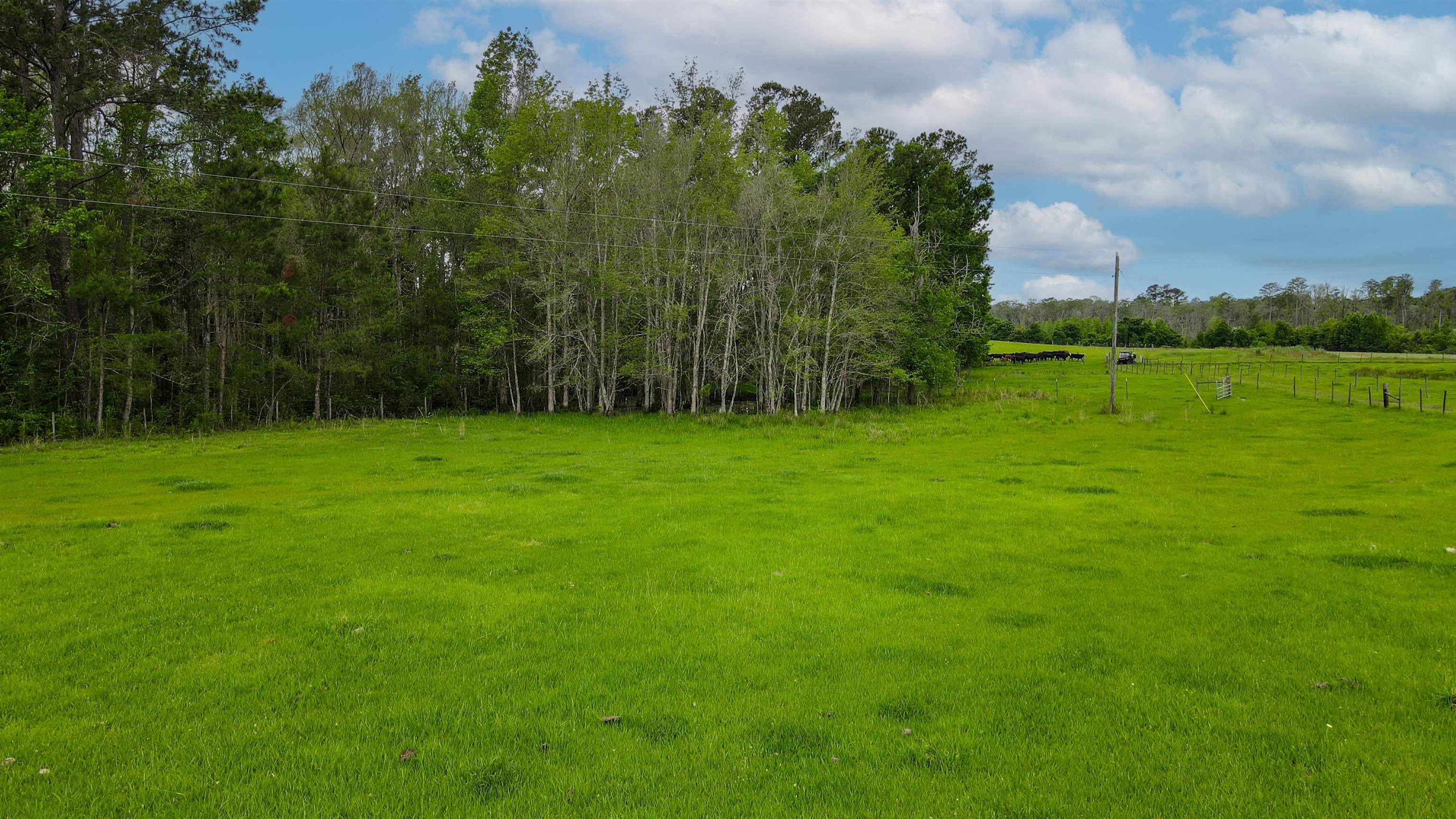 TBD NW Hawks Ave Avenue, Greenville, Florida image 10