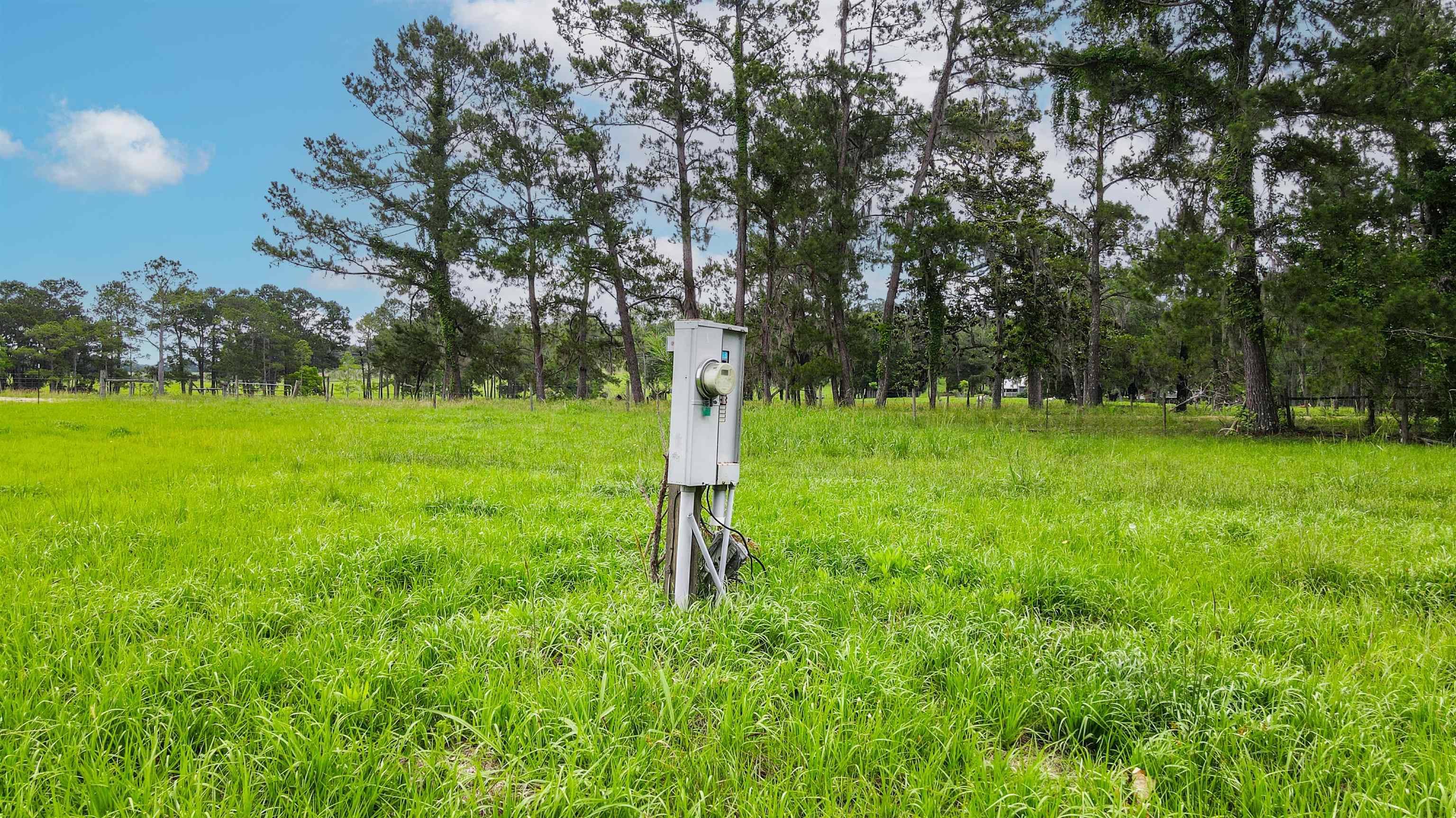 TBD NW Hawks Ave Avenue, Greenville, Florida image 11