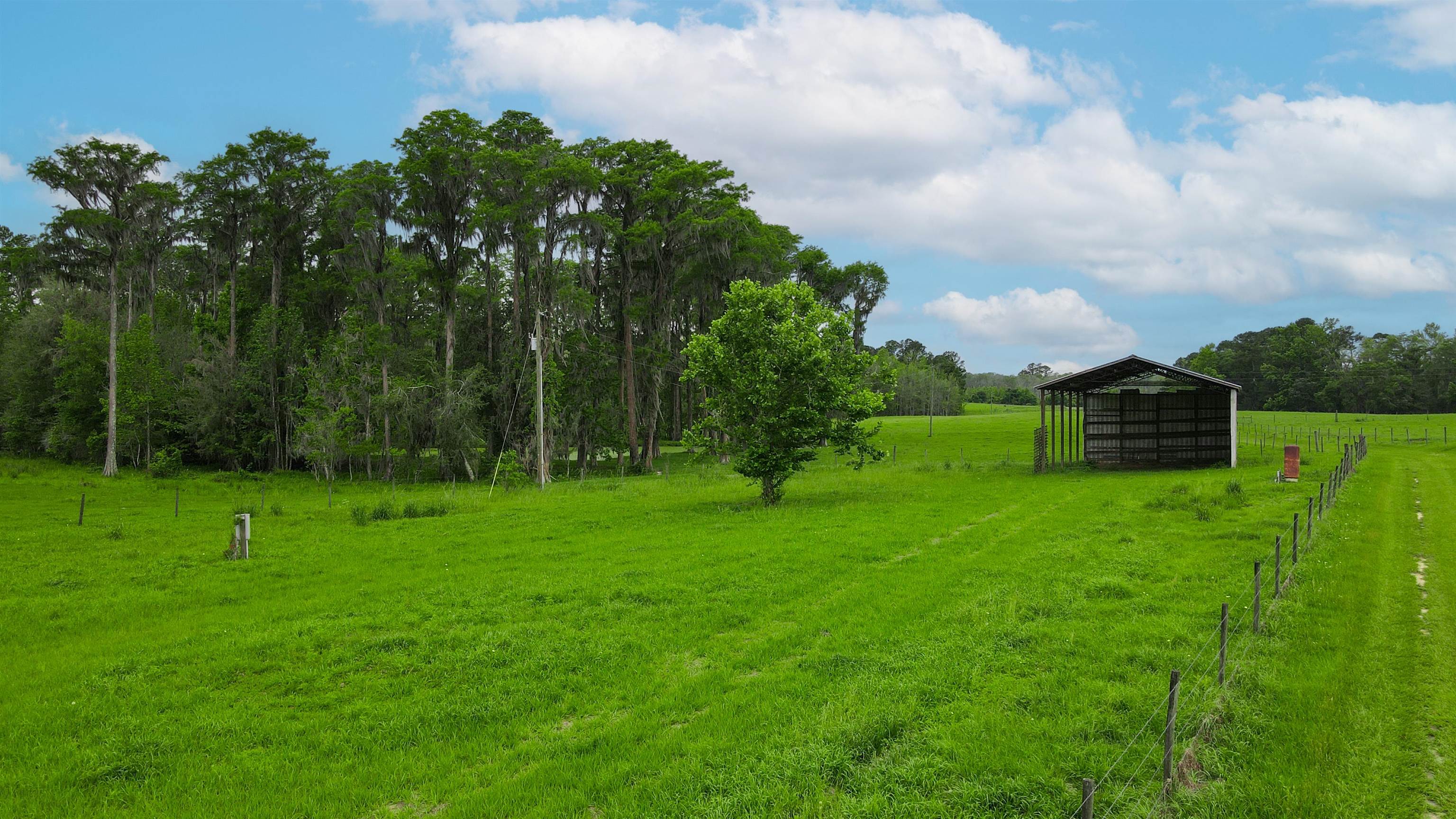 TBD NW Hawks Ave Avenue, Greenville, Florida image 4