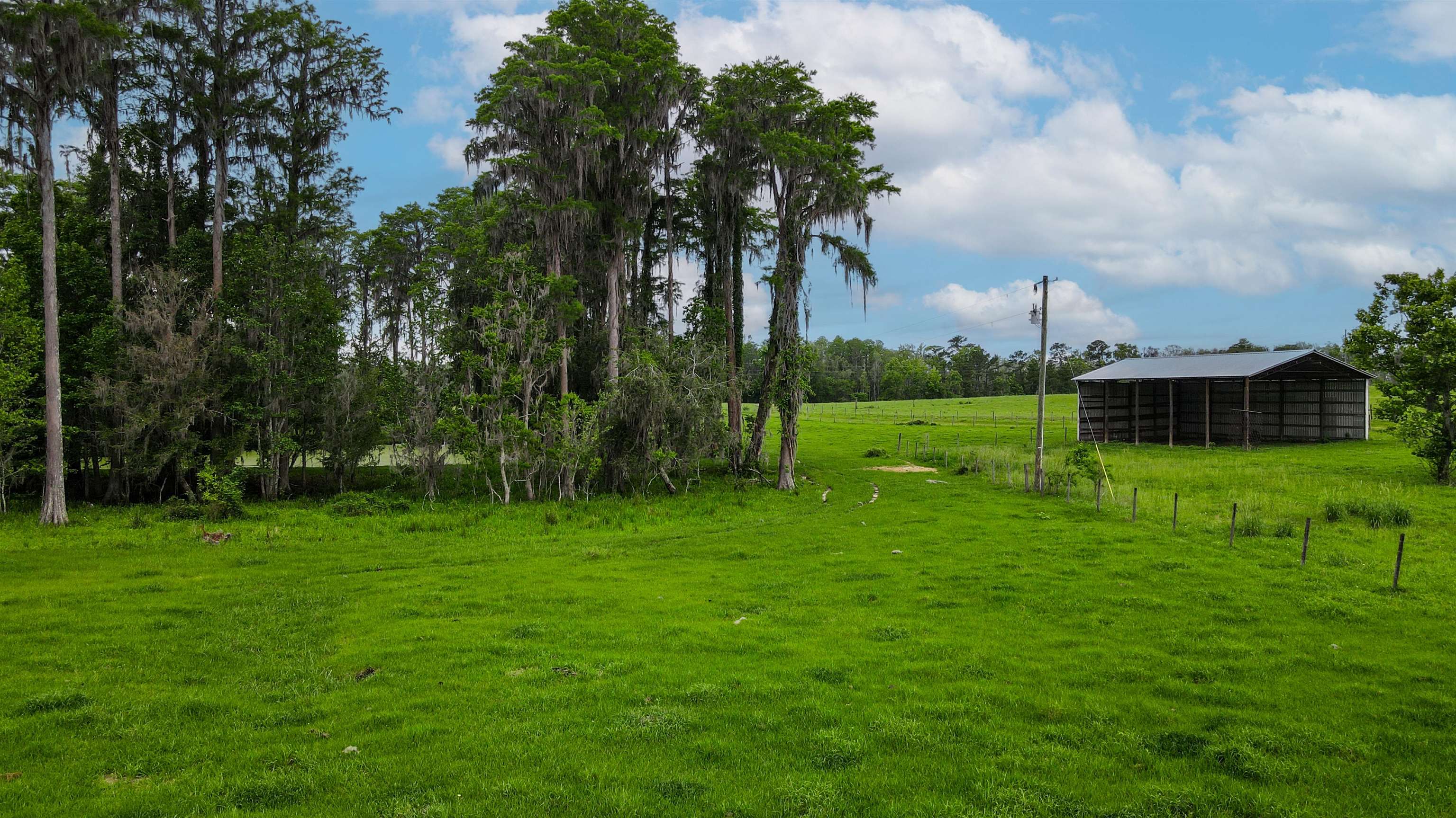 TBD NW Hawks Ave Avenue, Greenville, Florida image 6