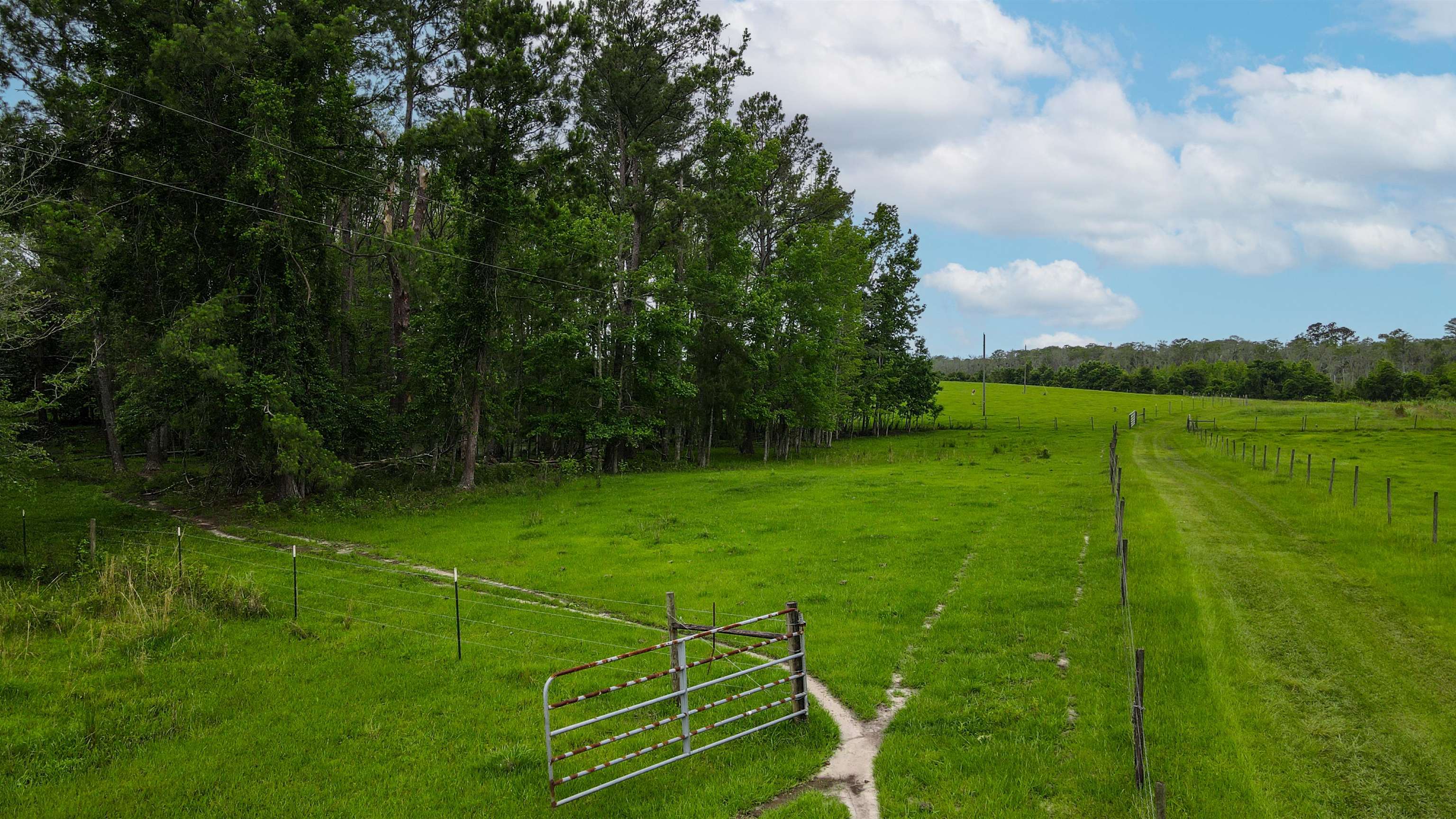 TBD NW Hawks Ave Avenue, Greenville, Florida image 7