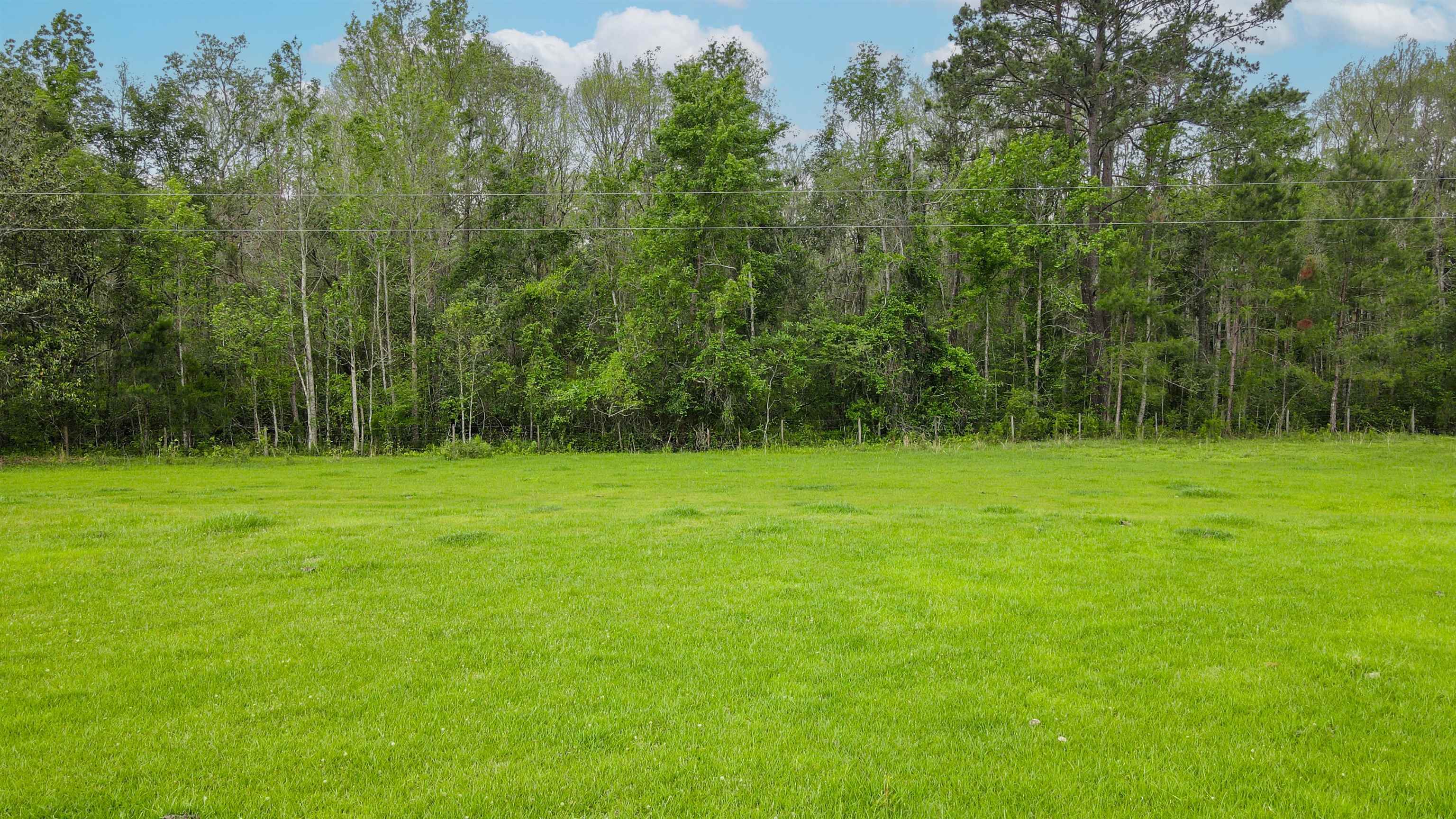 TBD NW Hawks Ave Avenue, Greenville, Florida image 8