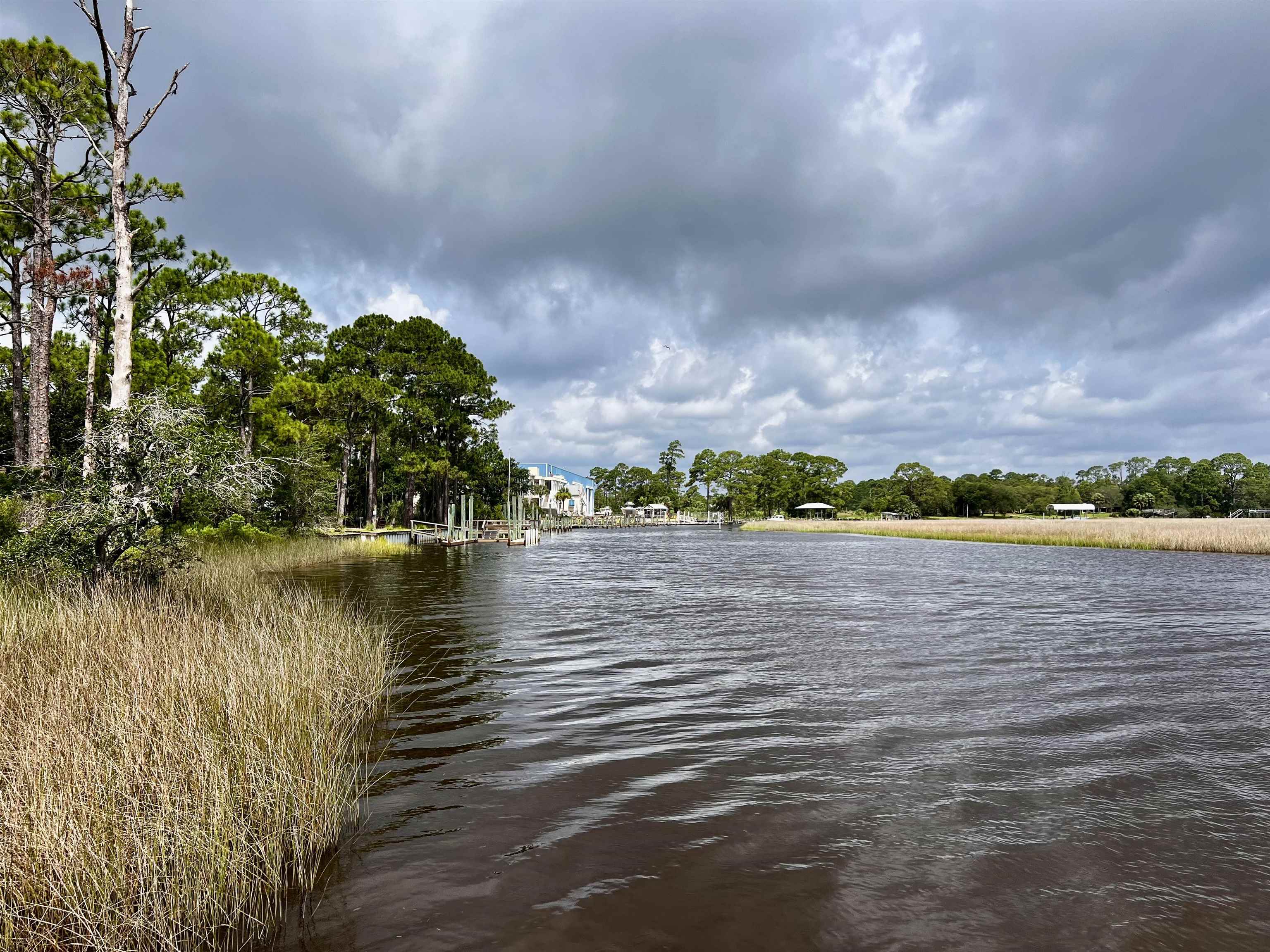 149 Timber Island Road, Carrabelle, Florida image 3