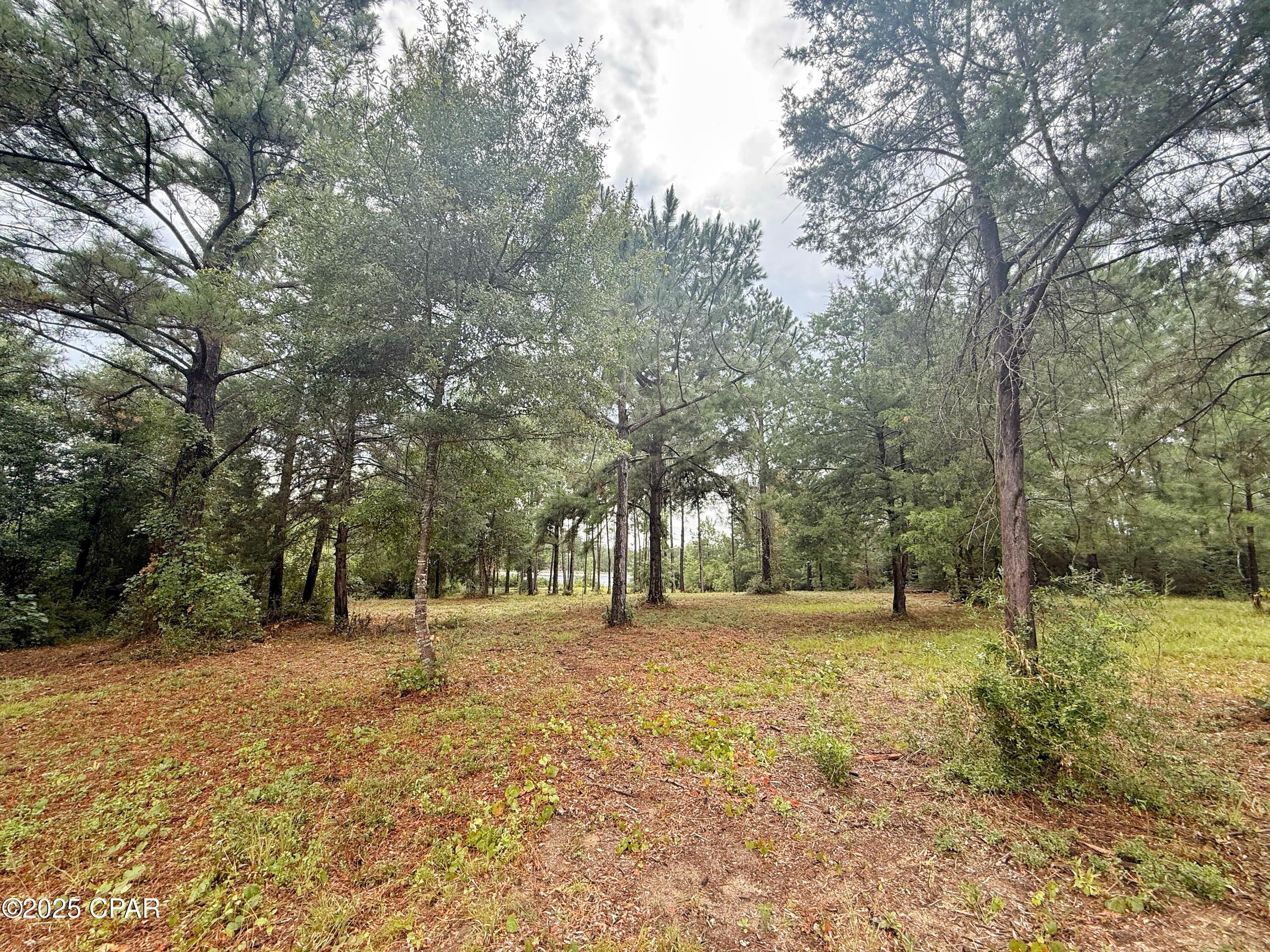 Image 7 For 00 Mcpherson Drive
