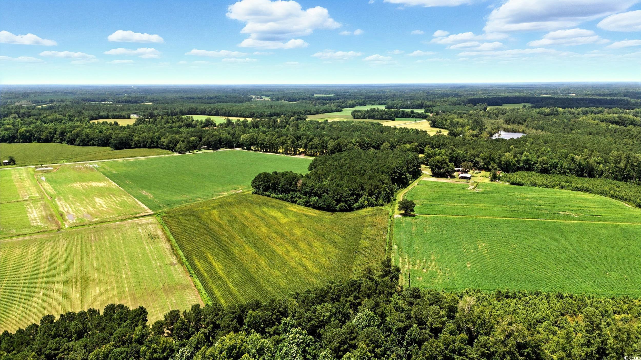 TBD Duford Rd. Nichols, SC 29581