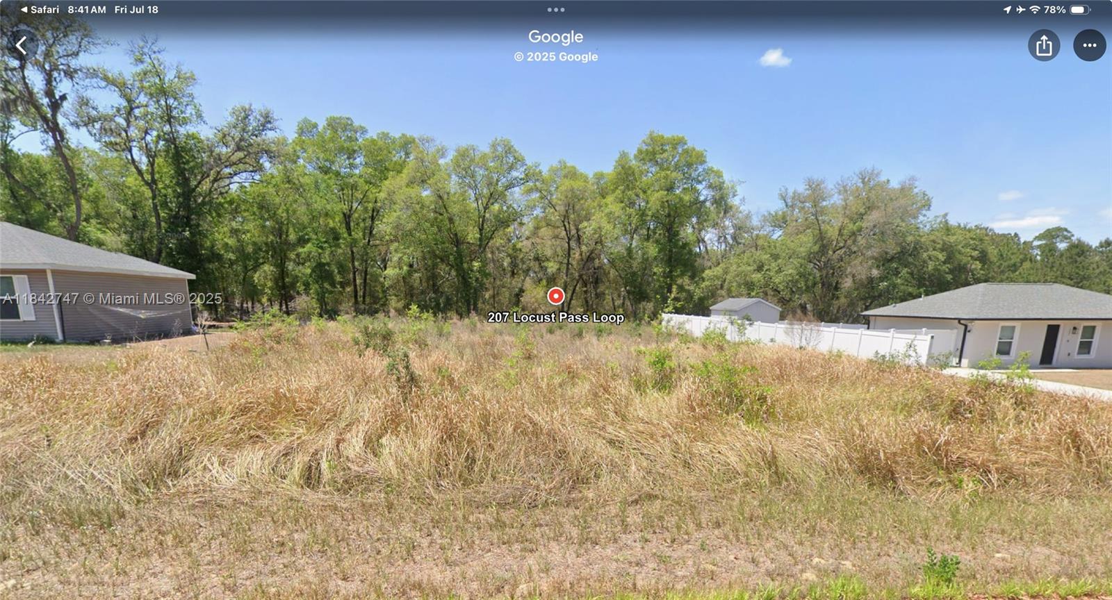 Silver Springs Shore