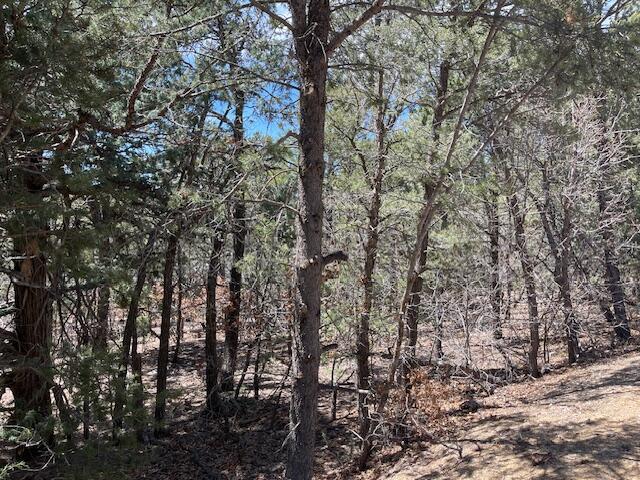 46 BIG DIPPER Road, Tijeras