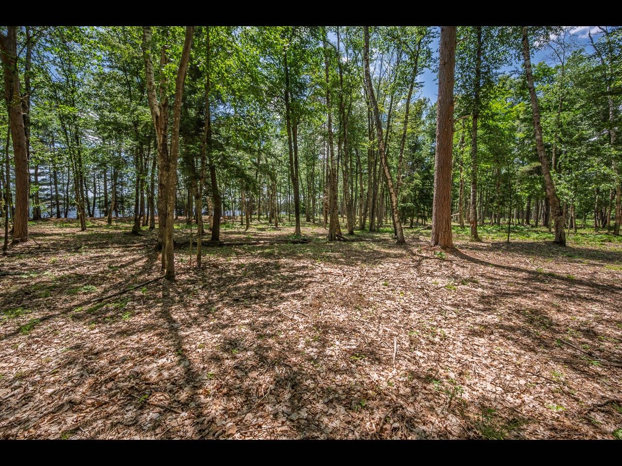 Clearwater Lake Property 142-144 Kindling Pt Photo 10