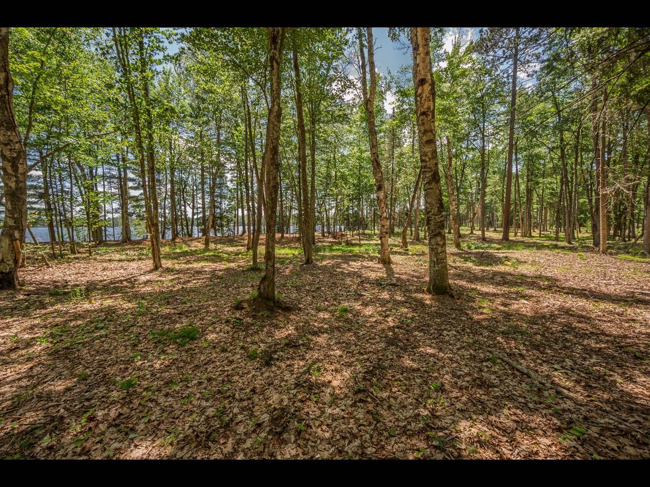 Clearwater Lake Property 142-144 Kindling Pt Photo 12