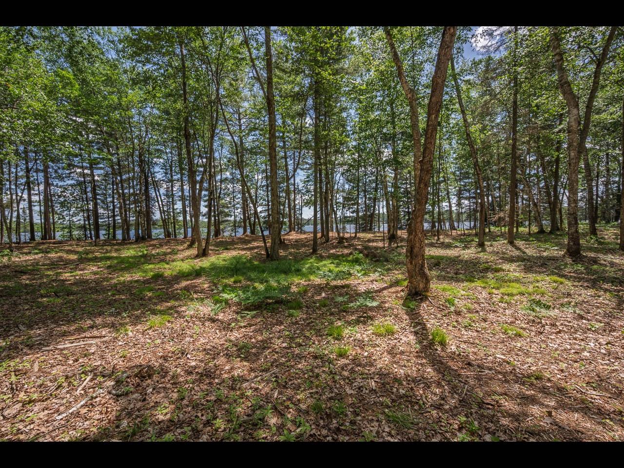 Clearwater Lake Property 142-144 Kindling Pt Photo 13