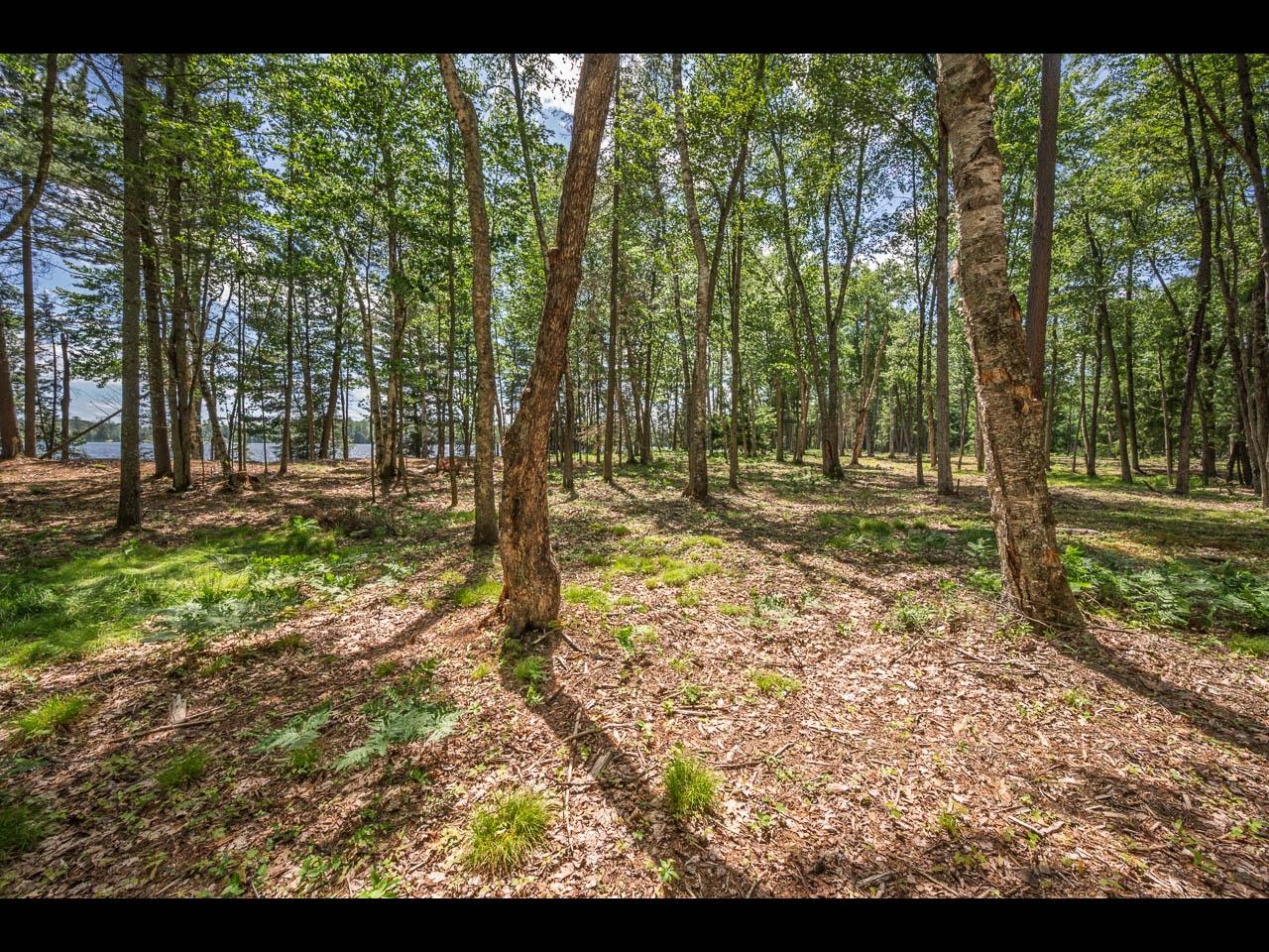 Clearwater Lake Property 142-144 Kindling Pt Photo 14