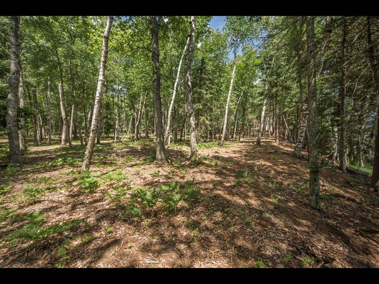Clearwater Lake Property 142-144 Kindling Pt Photo 18