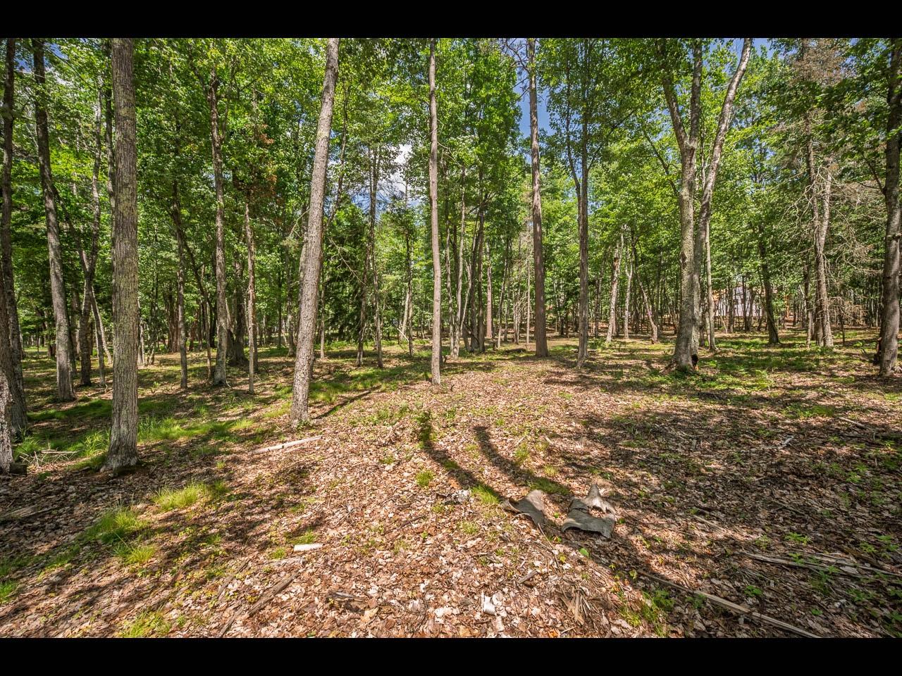 Clearwater Lake Property 142-144 Kindling Pt Photo 20