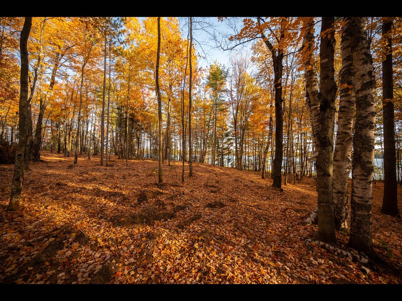 Clearwater Lake Property 142-144 Kindling Pt Photo 22