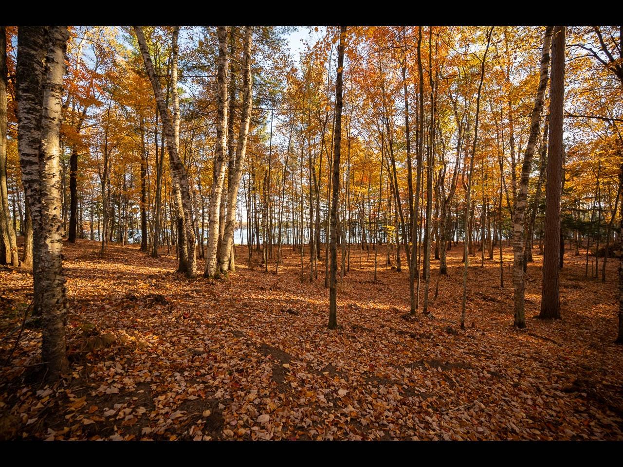 Clearwater Lake Property 142-144 Kindling Pt Photo 23